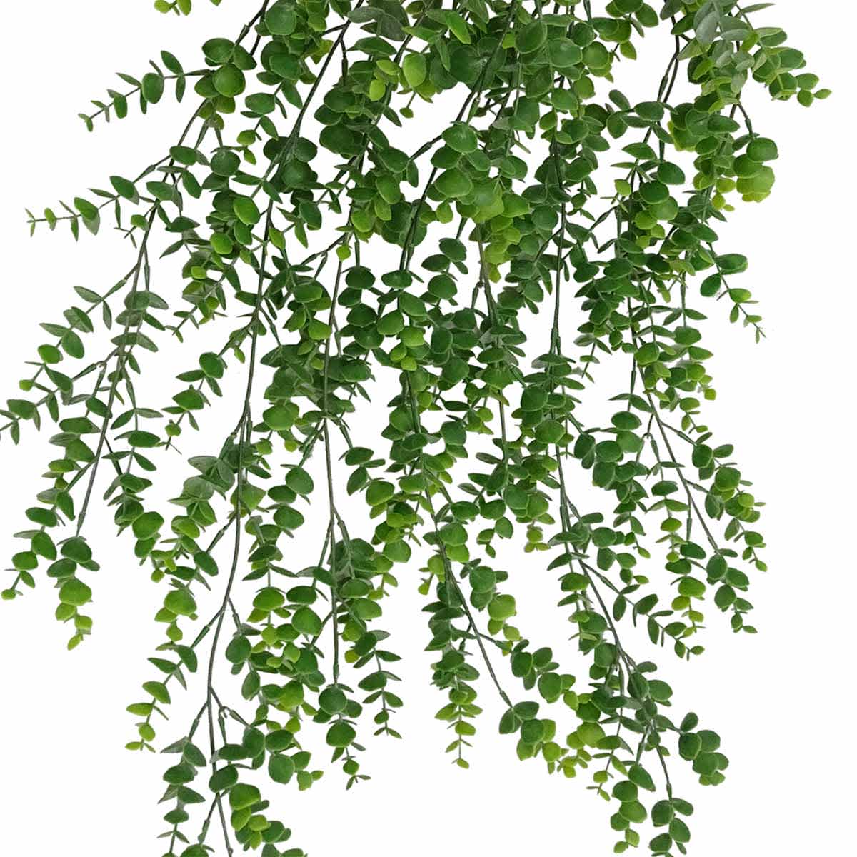 Eucalyptus Hanging Bush, 31"