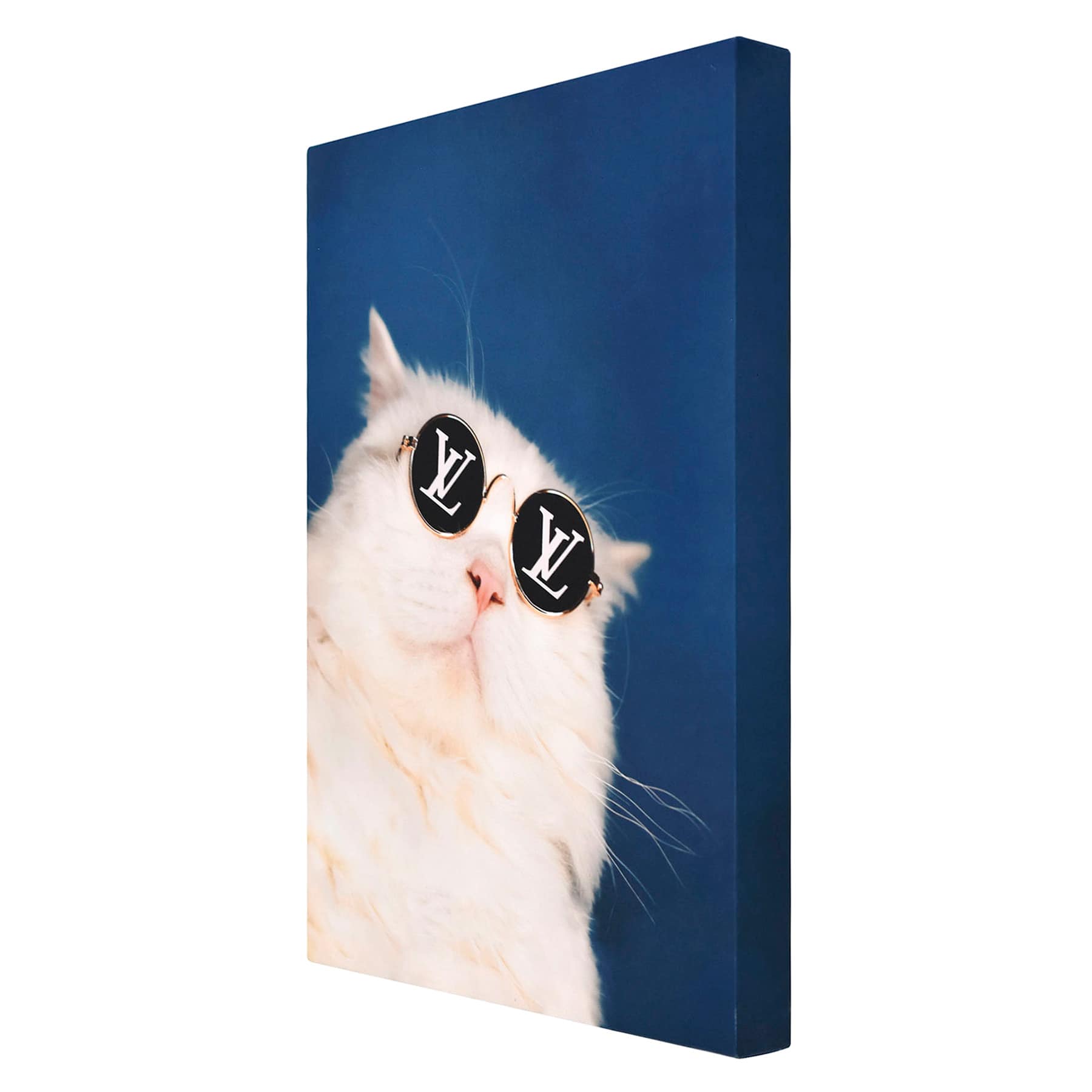 Cool Cat Canvas Wall Art, 16x12