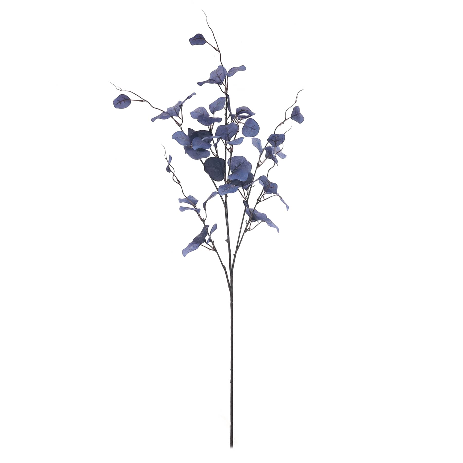 Large Blue Eucalyptus Stem, 33"