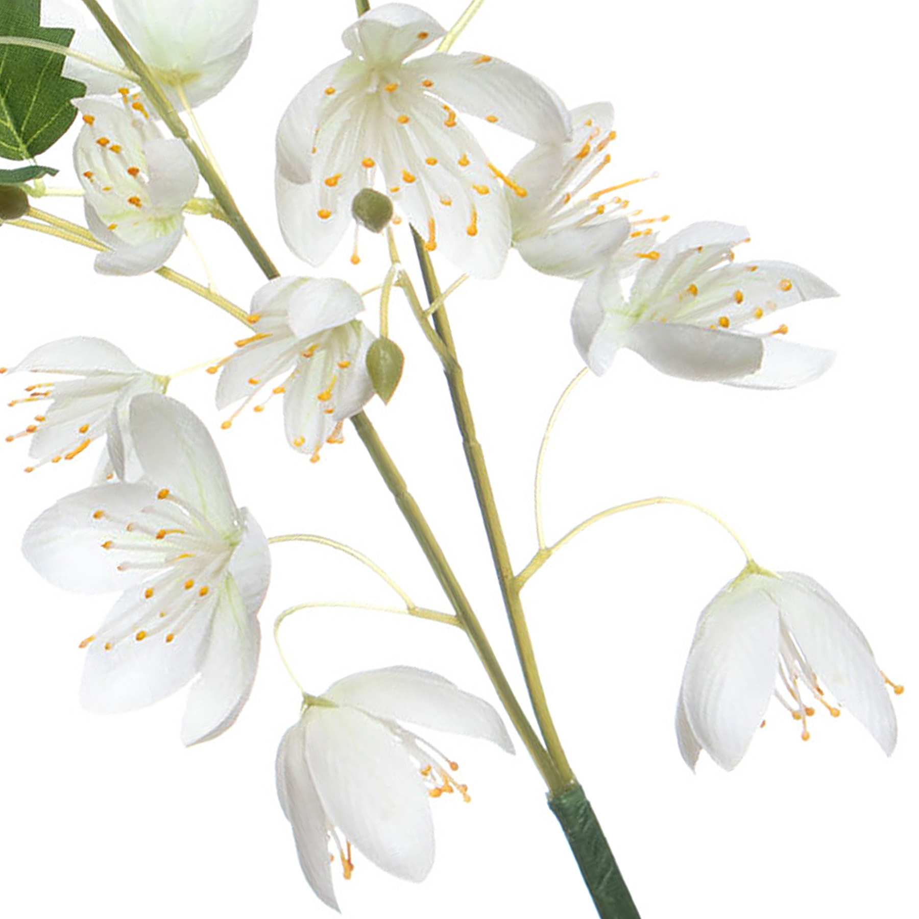 Willow Crossley White Columbine Pick, 12"
