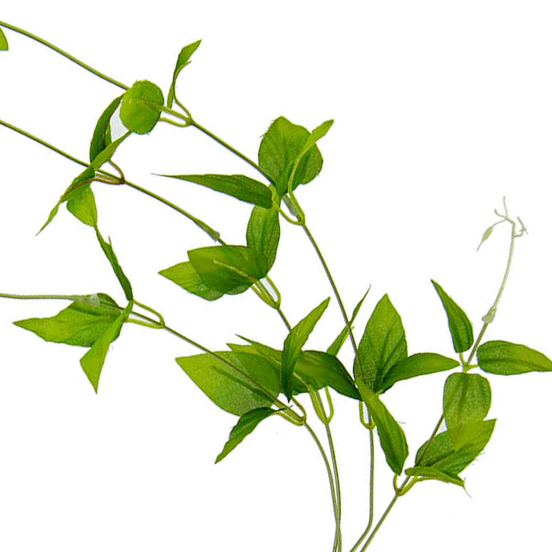 38IN L JASMINE VINE