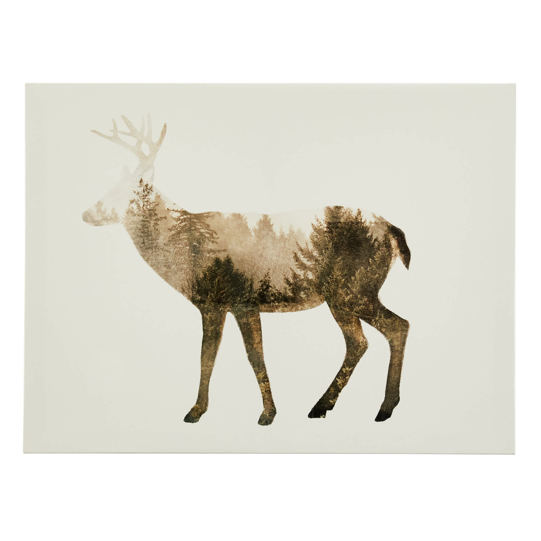 Ty Pennington The Wilderness IV Canvas Wall Art, 16x12