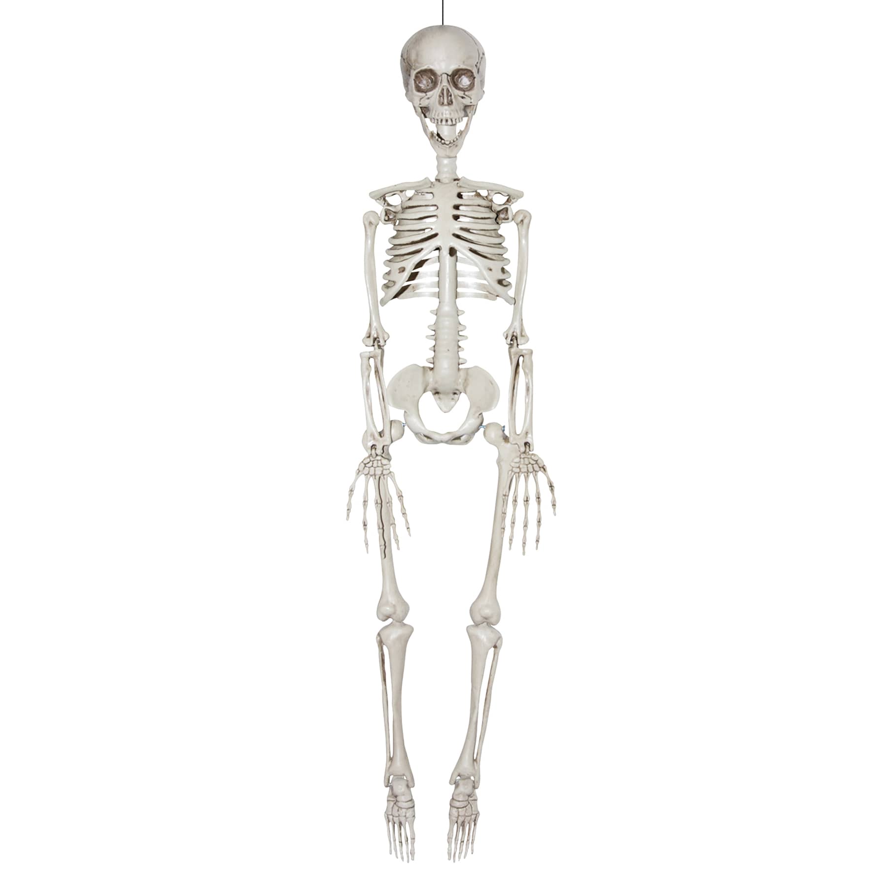 Halloween Skeleton, 35"
