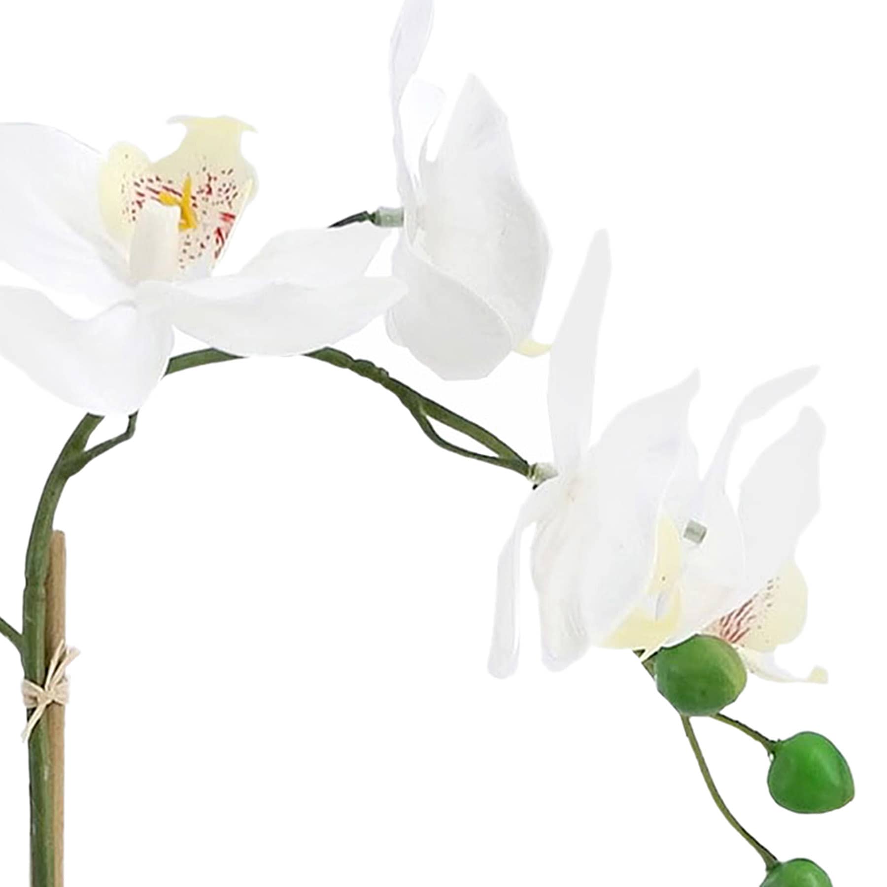 White Real Touch Orchid in Cement Pot, 13.5"