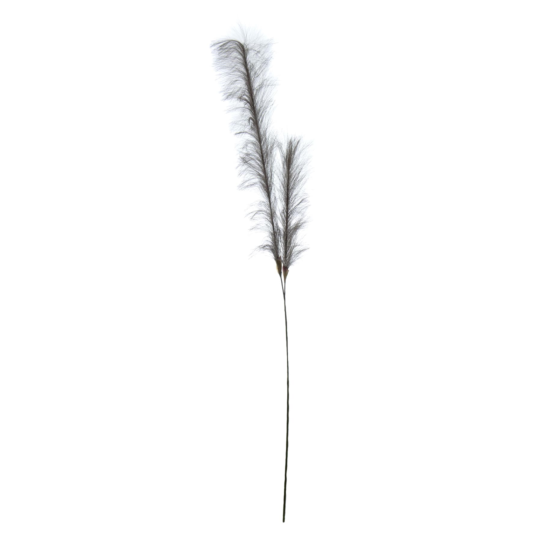 Grey Pampas Grass Spray, 49"