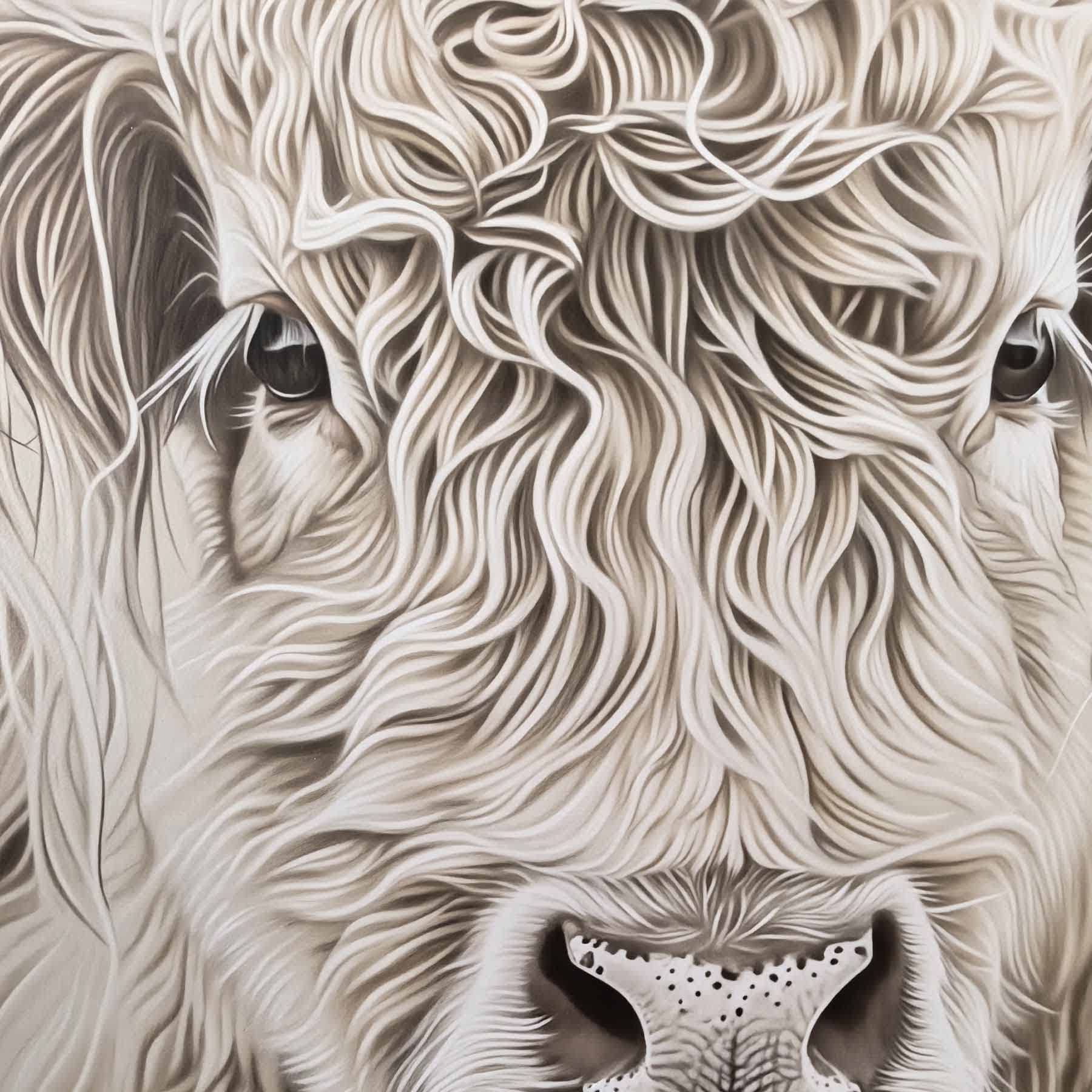 Glass Framed Highland Fluffy Cow Paper Wall Art, 25x37