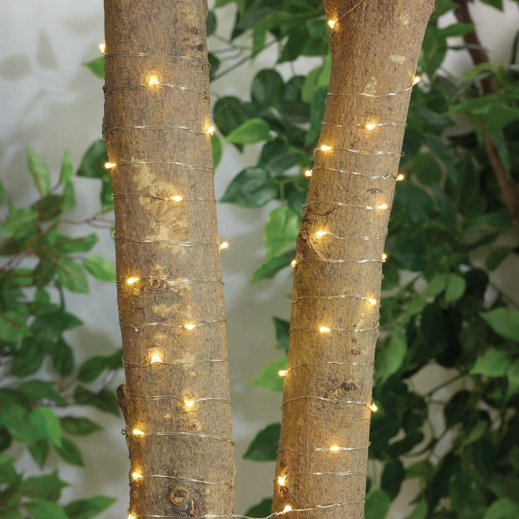 50-Count Solar LED Micro Dot Wire Lights