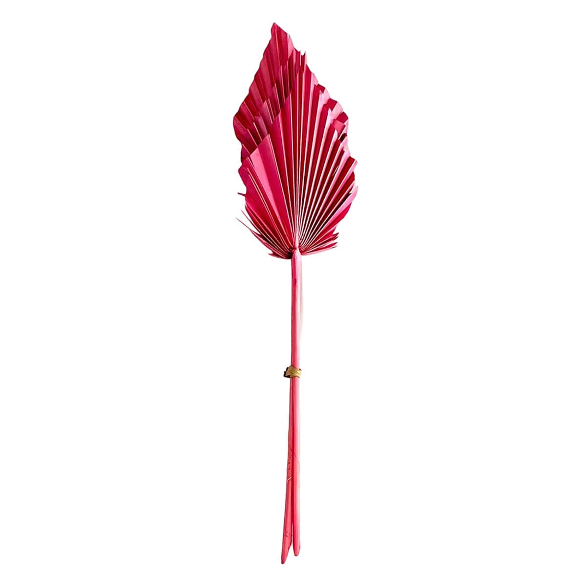 Pink & Mauve Palm Spear, 19"