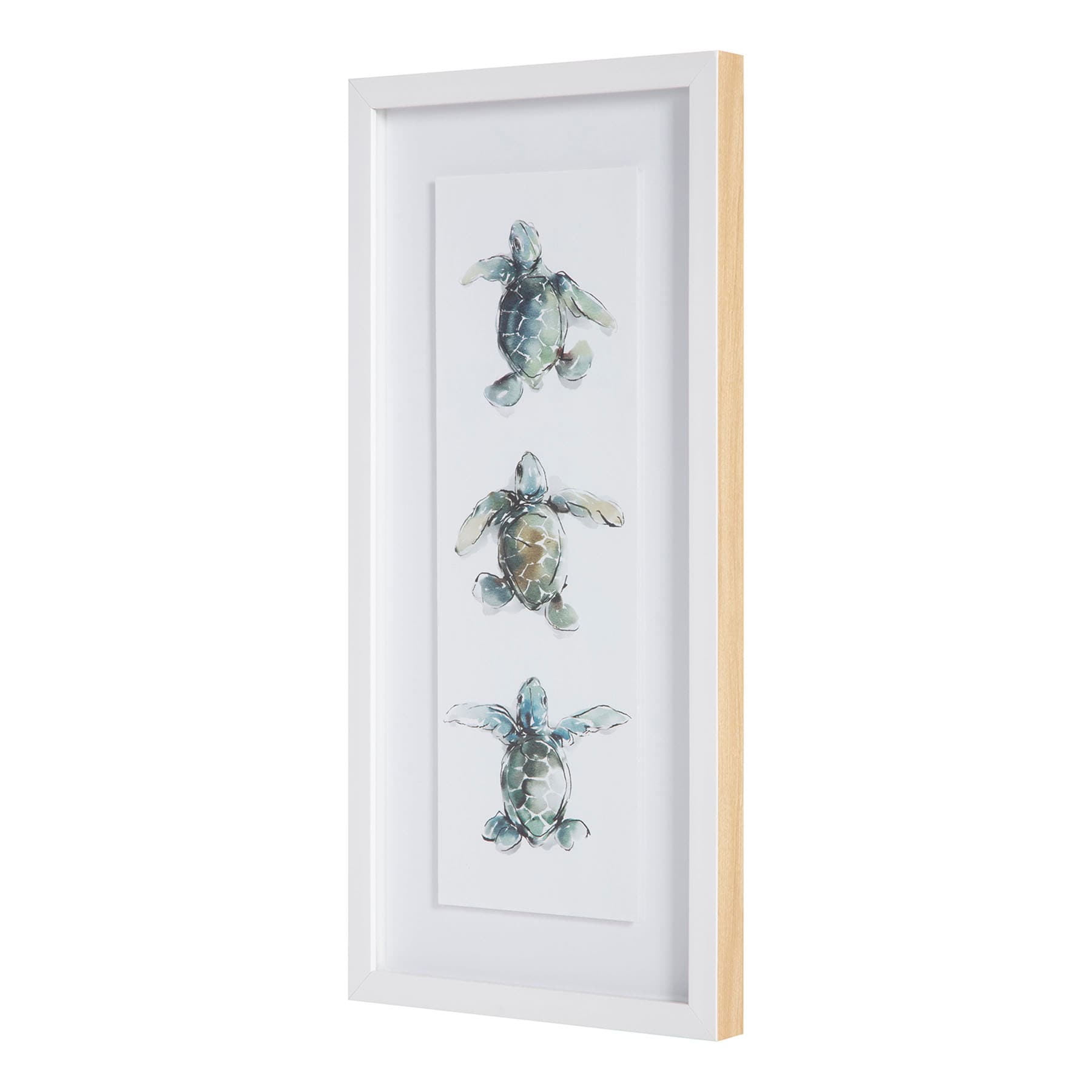 Ty Pennington Glass Framed Turtle Print Wall Art, 11x23