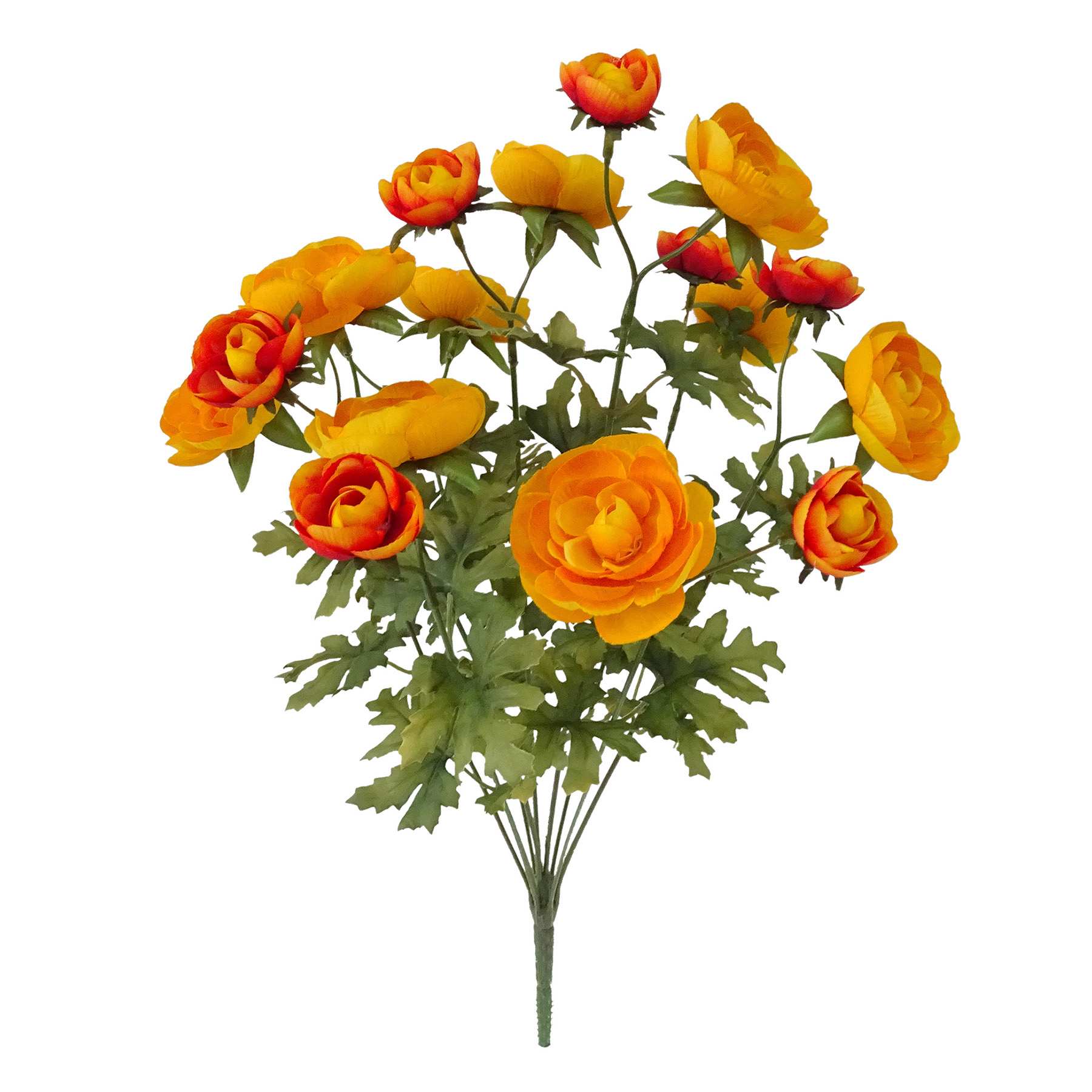 Orange 18-Head Ranunculus Bush, 18"