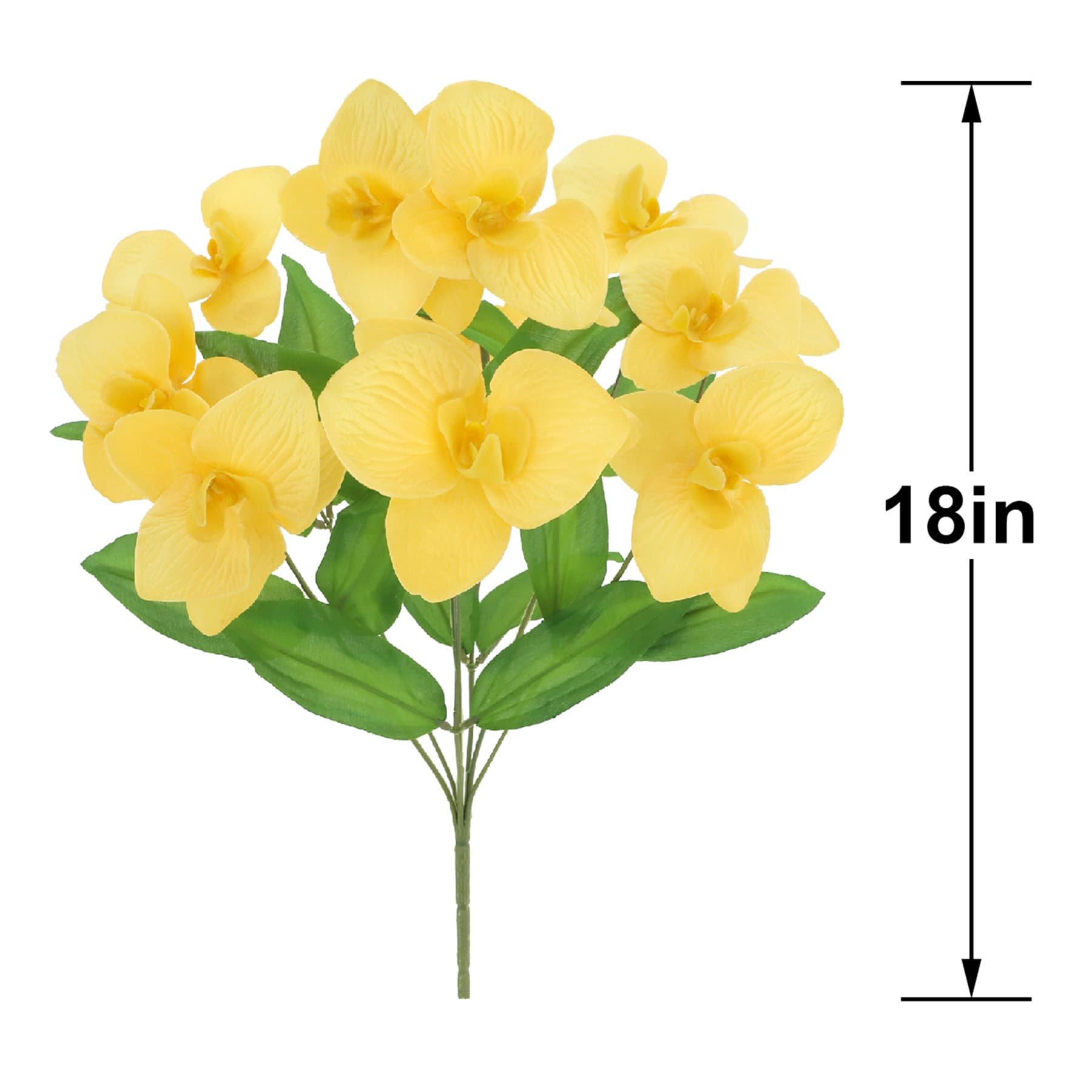 Yellow Orchid Bush, 18"