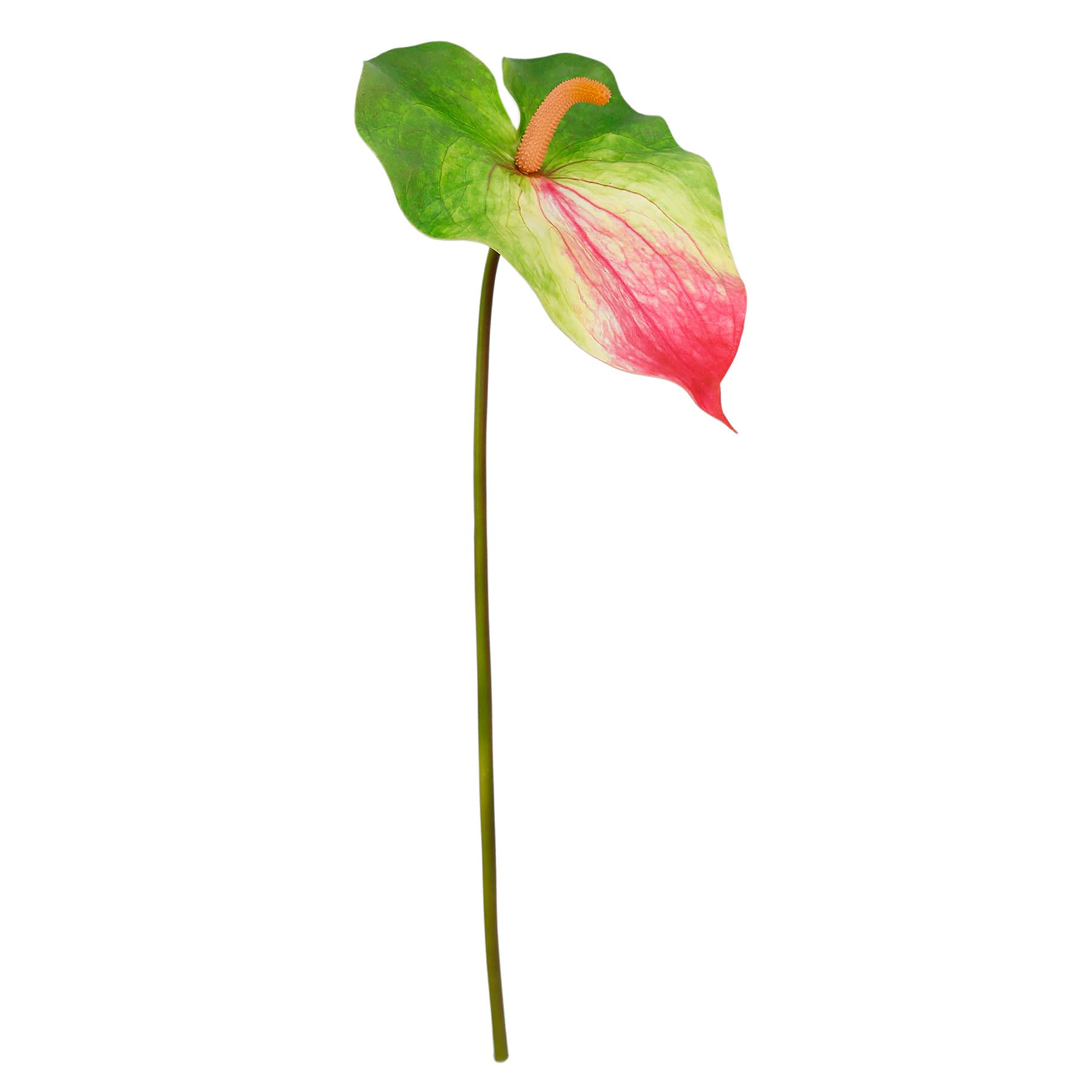Green & Pink Anthurium Stem, 27.5"