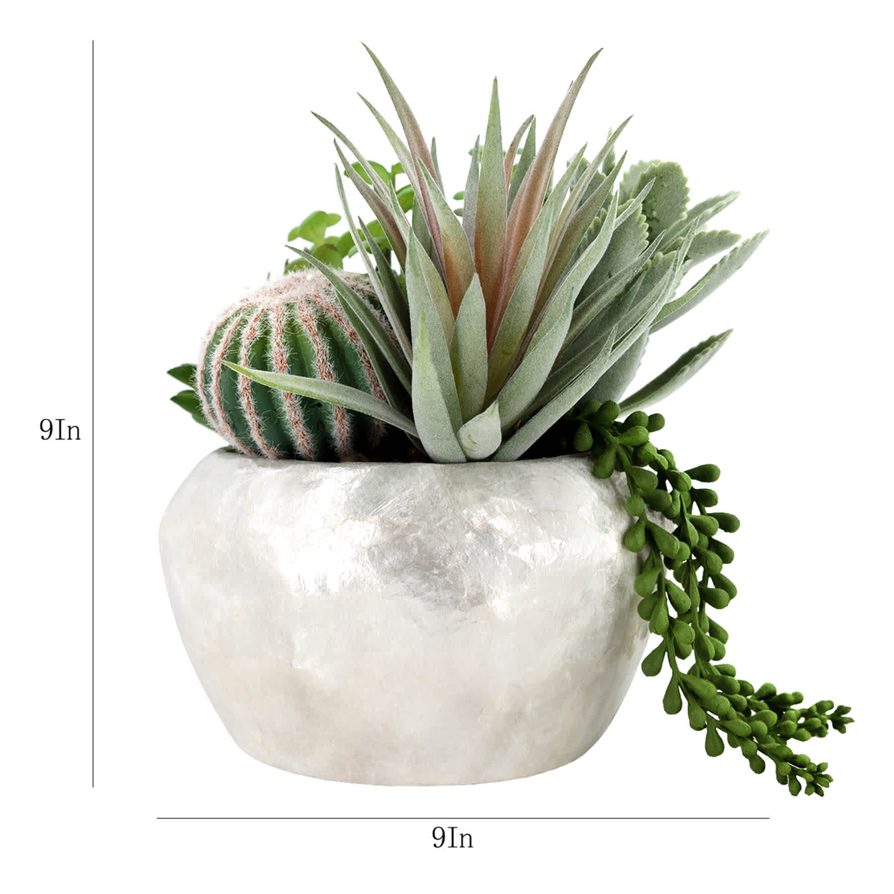 Succulent in Pearlescent Pot, 9"