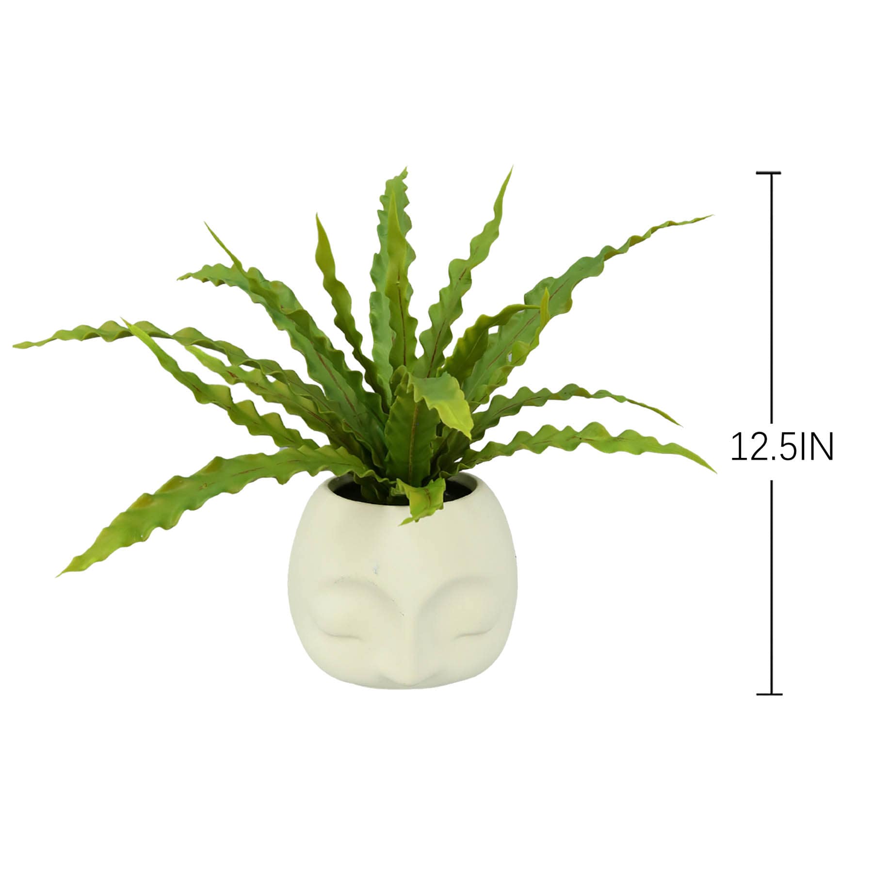 Fern in Face Pot, 12.5"