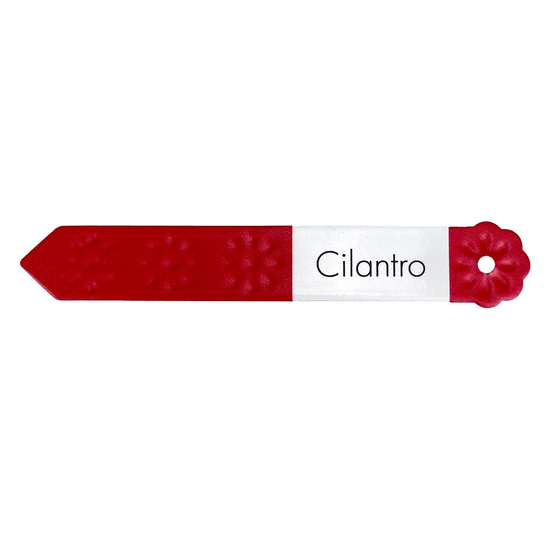 Sunny Club Cilantro Plant Marker Stake