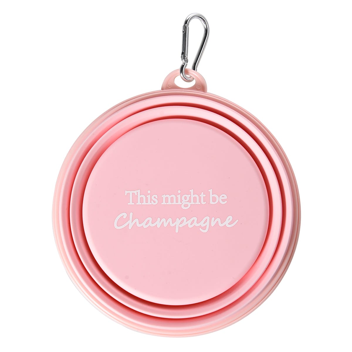 Collapsible Pet Bowl This Might Be Champagne