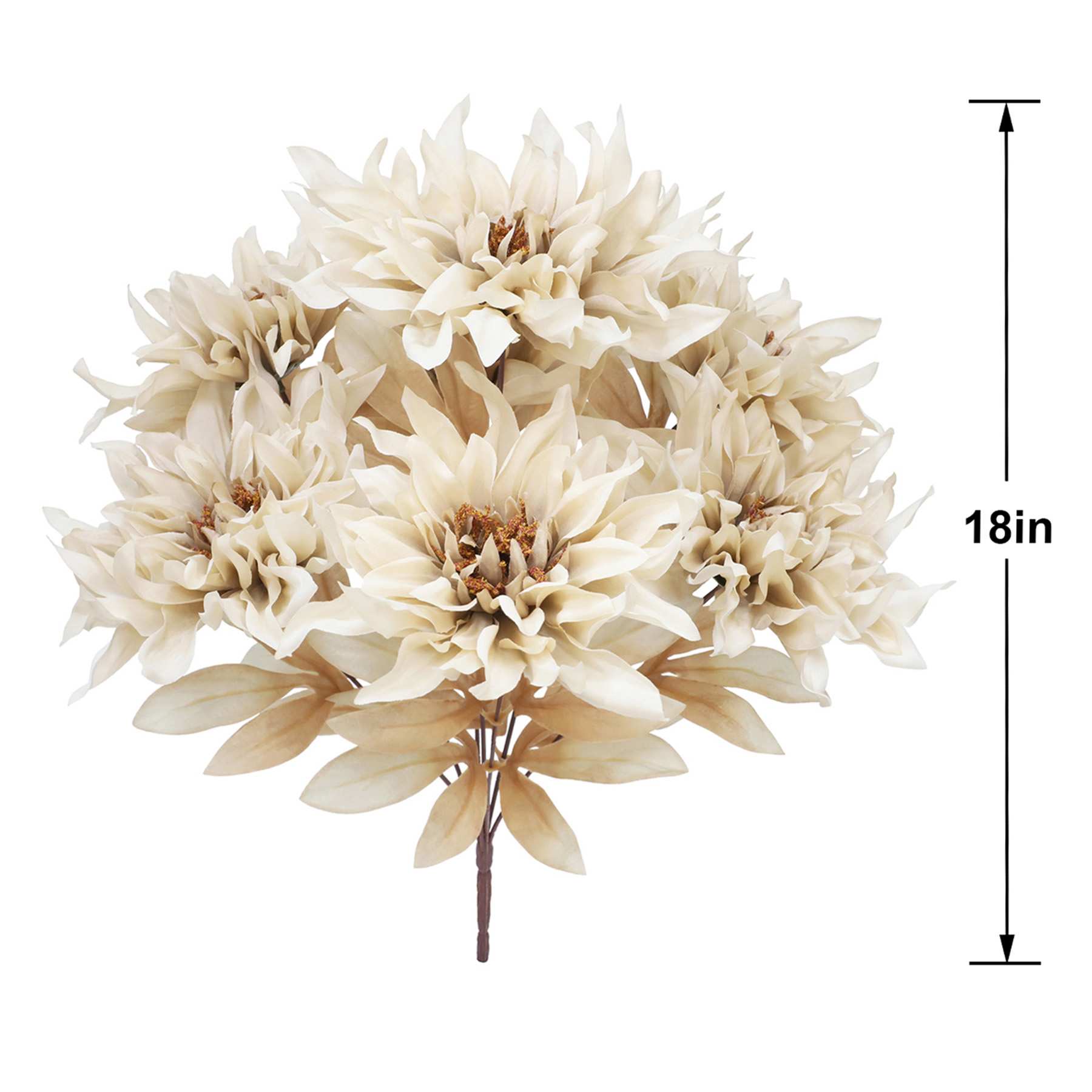 Dahlia Bush, 18"