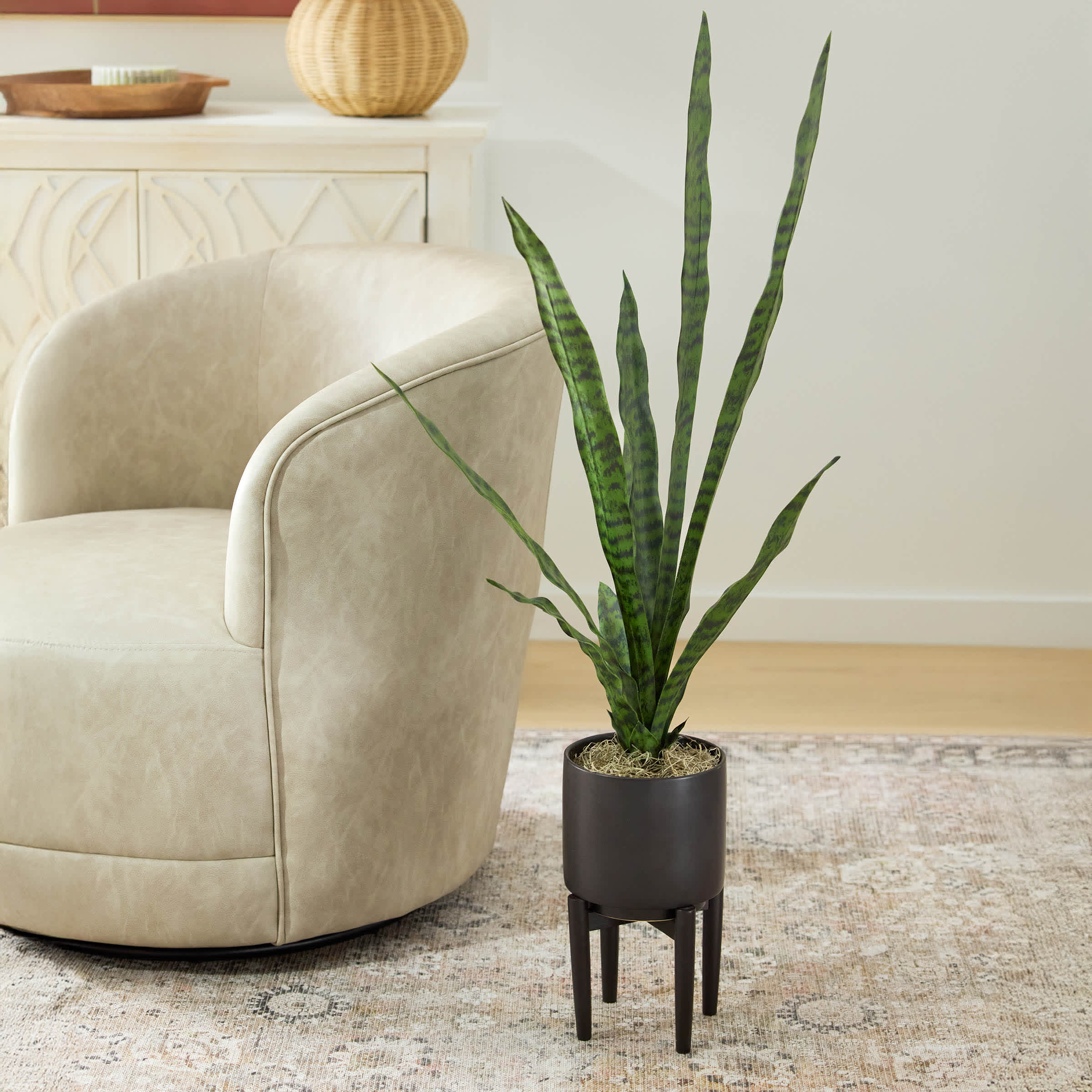 Snake Plant in Ceramic Stand, 44"