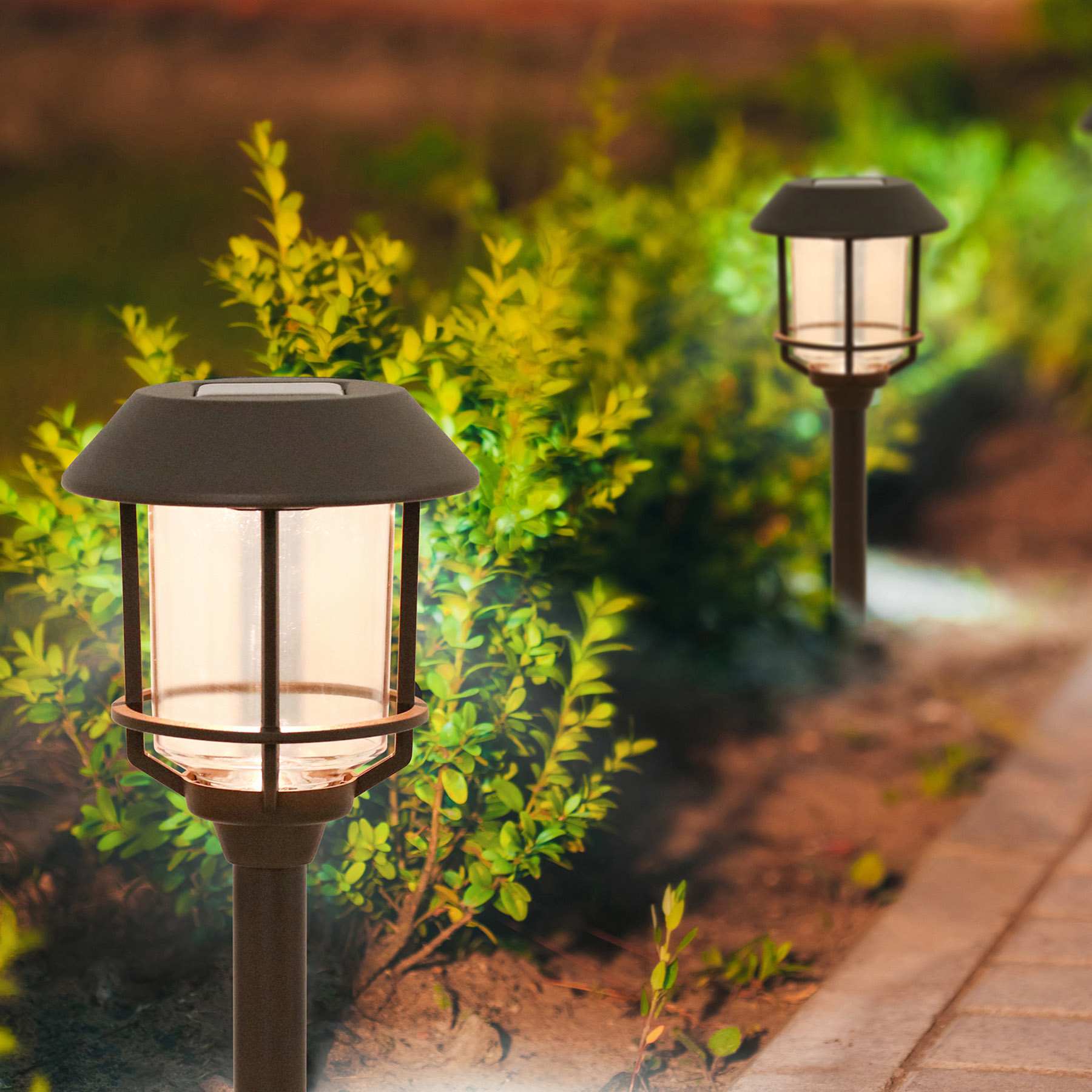 6-Pack 8-Lumen Solar Oil Rubbed Bronze Caged Pathway Lights
