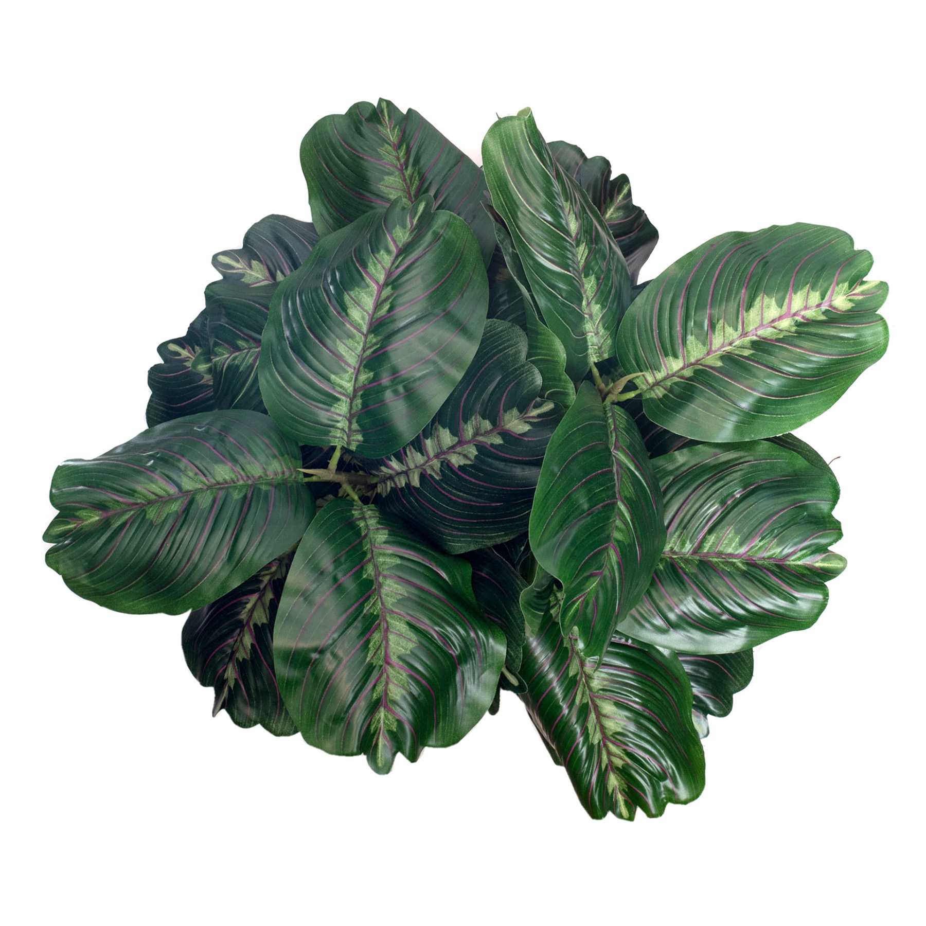 UV-Protected Fiddle Leaf in Plastic Pot, 16"