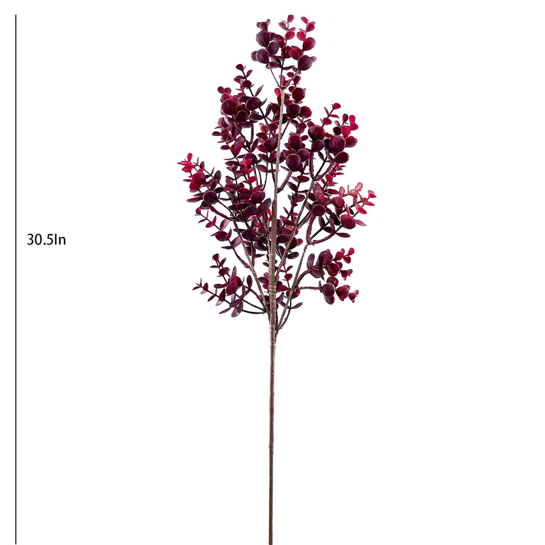 Red Leaves Stem, 30.5"