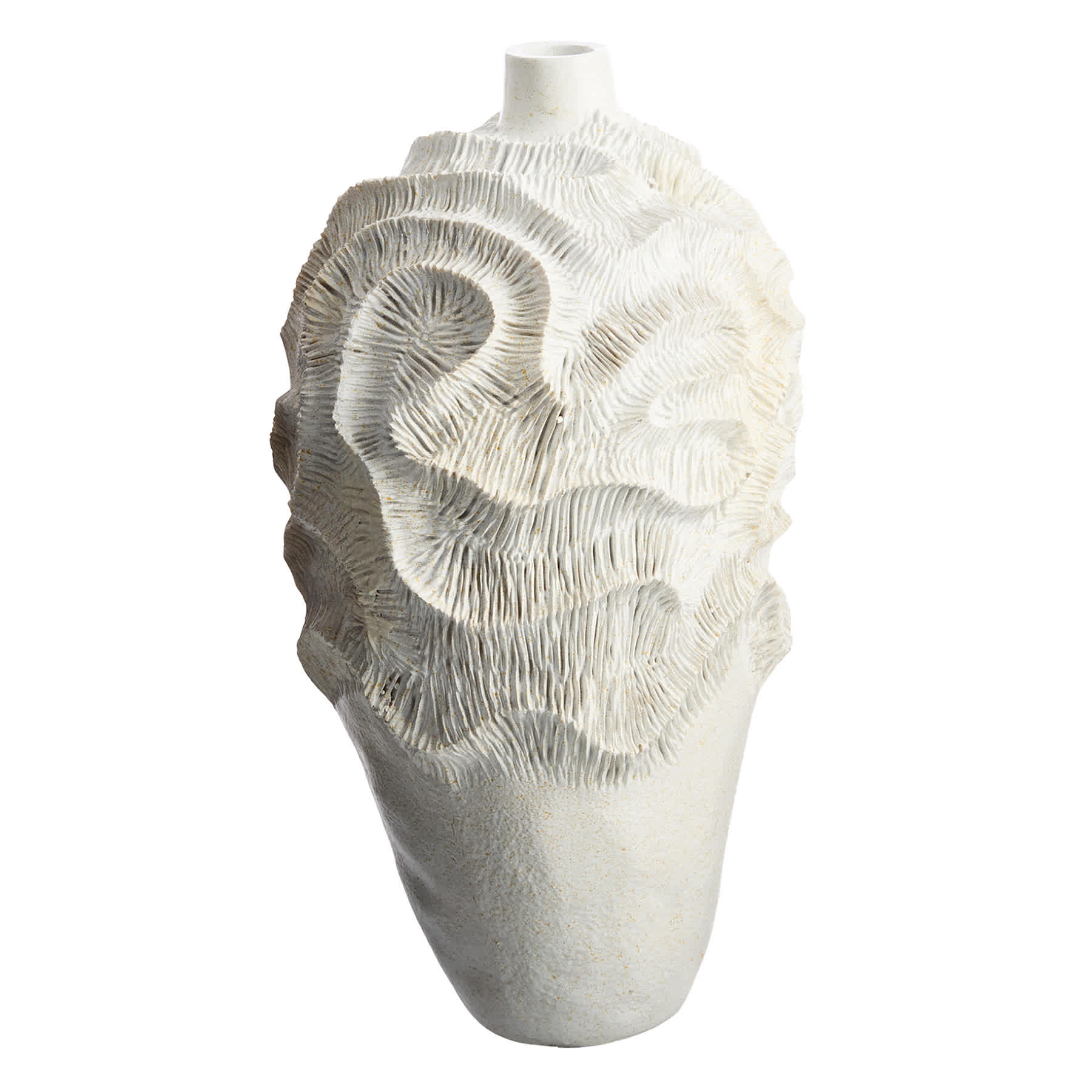 Ty Pennington White Coral Bottle Vase, 16"