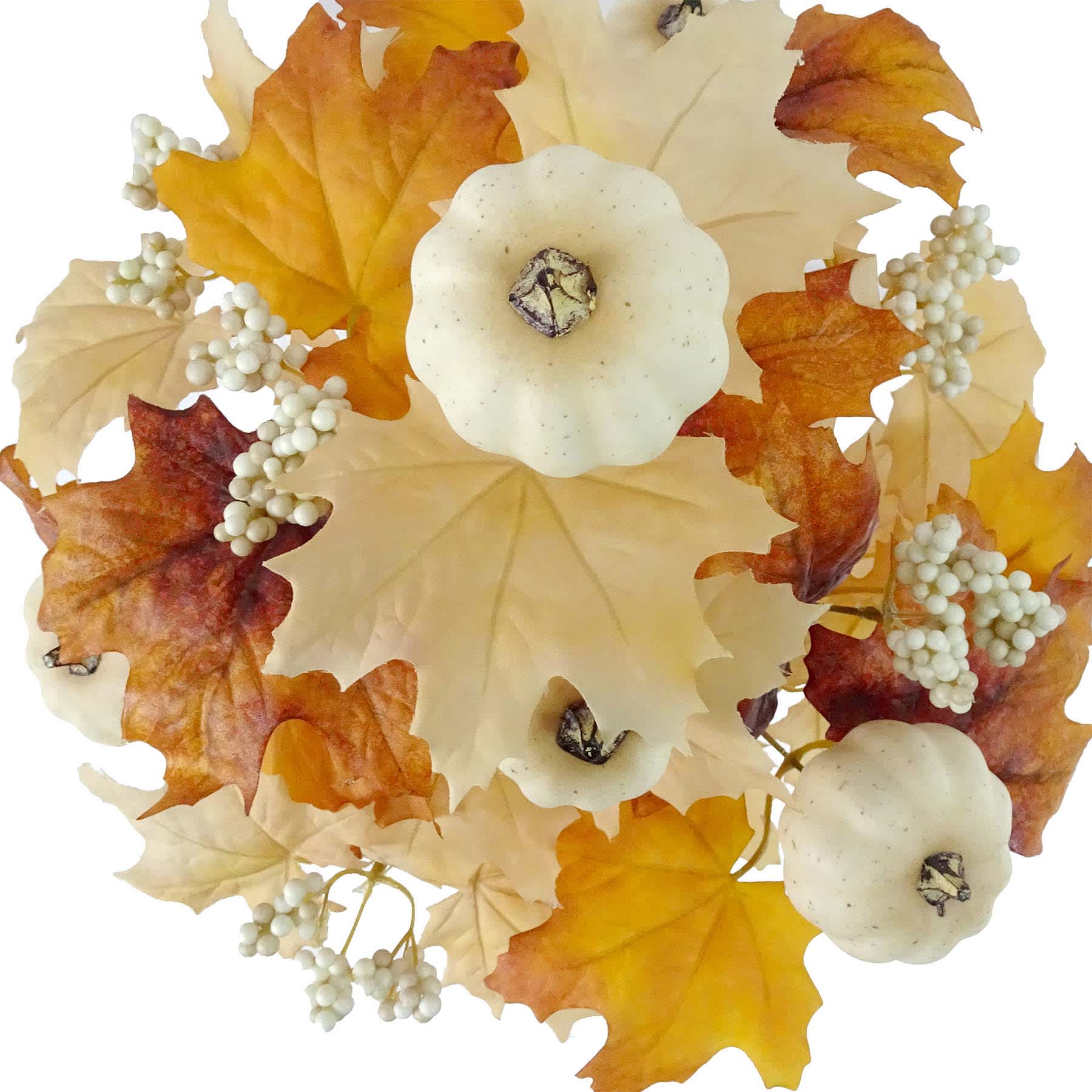 Maple & Pumpkin Mix Bush