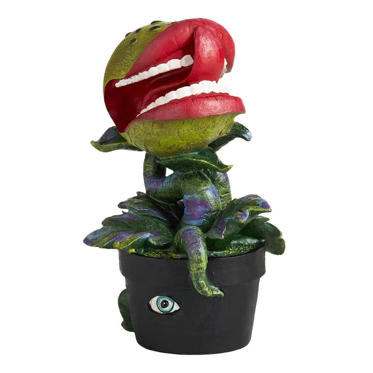 Grim Gardens Spellbound Green Hungry Venus Flytrap Plant, 10.5"