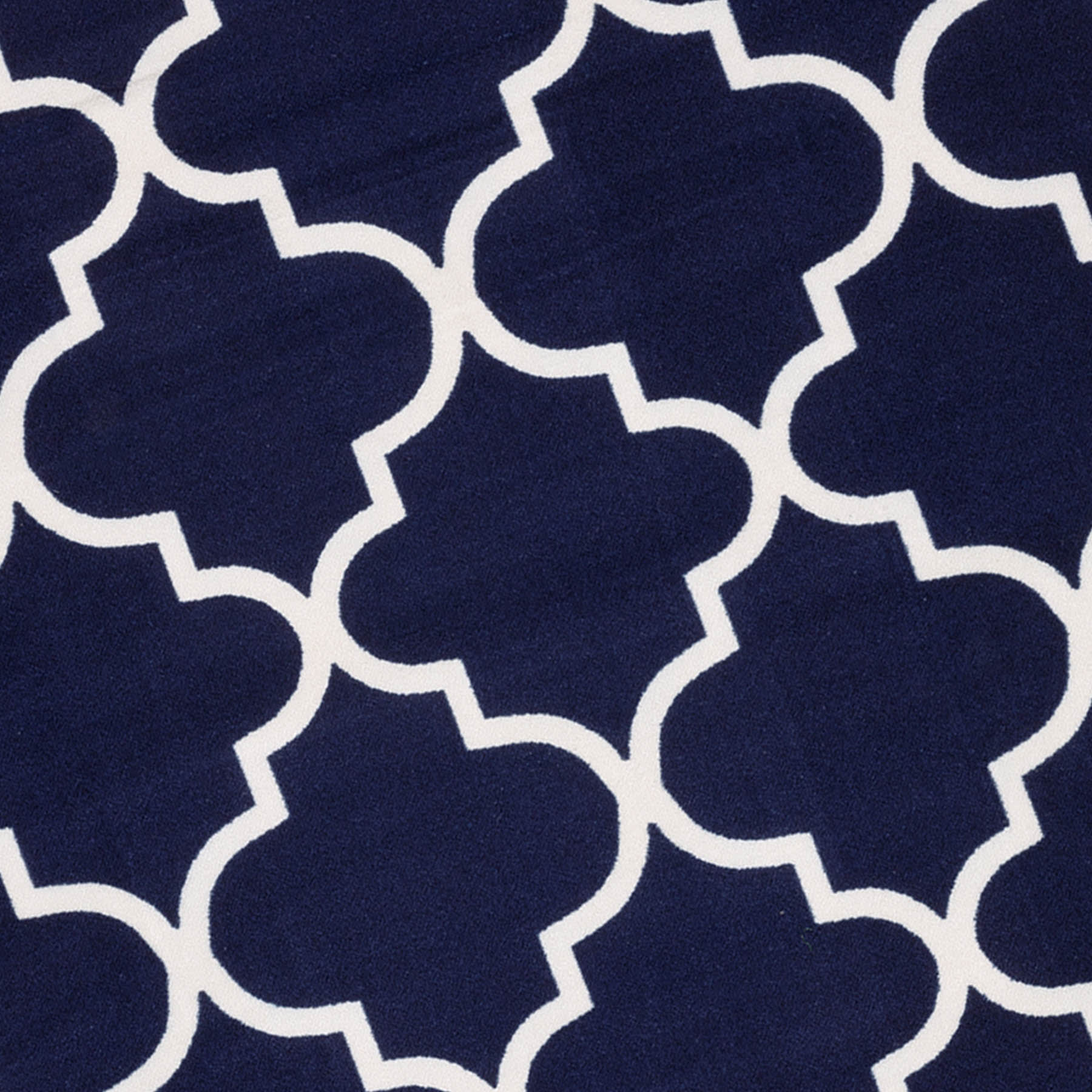 (D626) Brading Navy Blue Trellis Area Rug, 4x6
