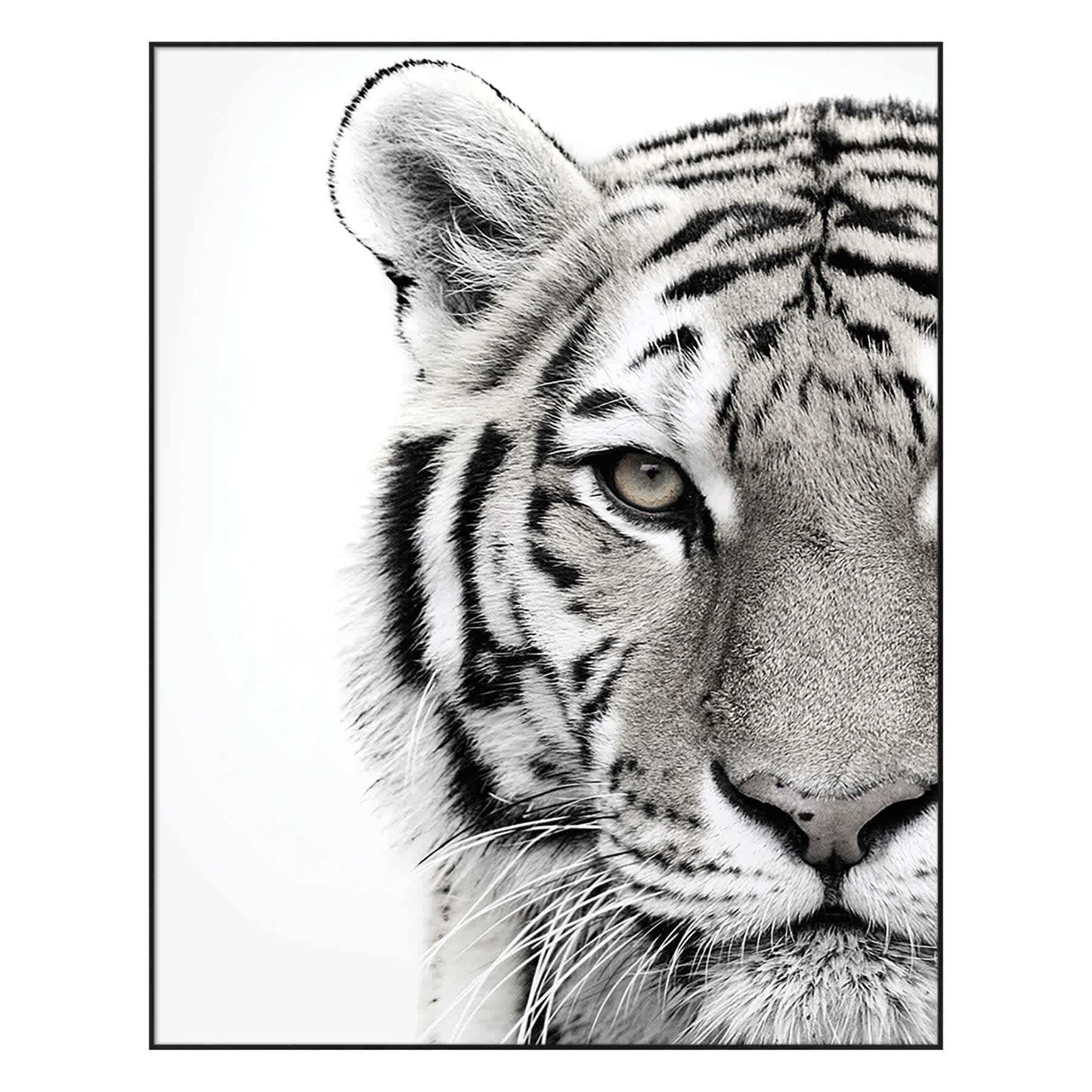 Glass Tiger Print Wall Art, 22x28