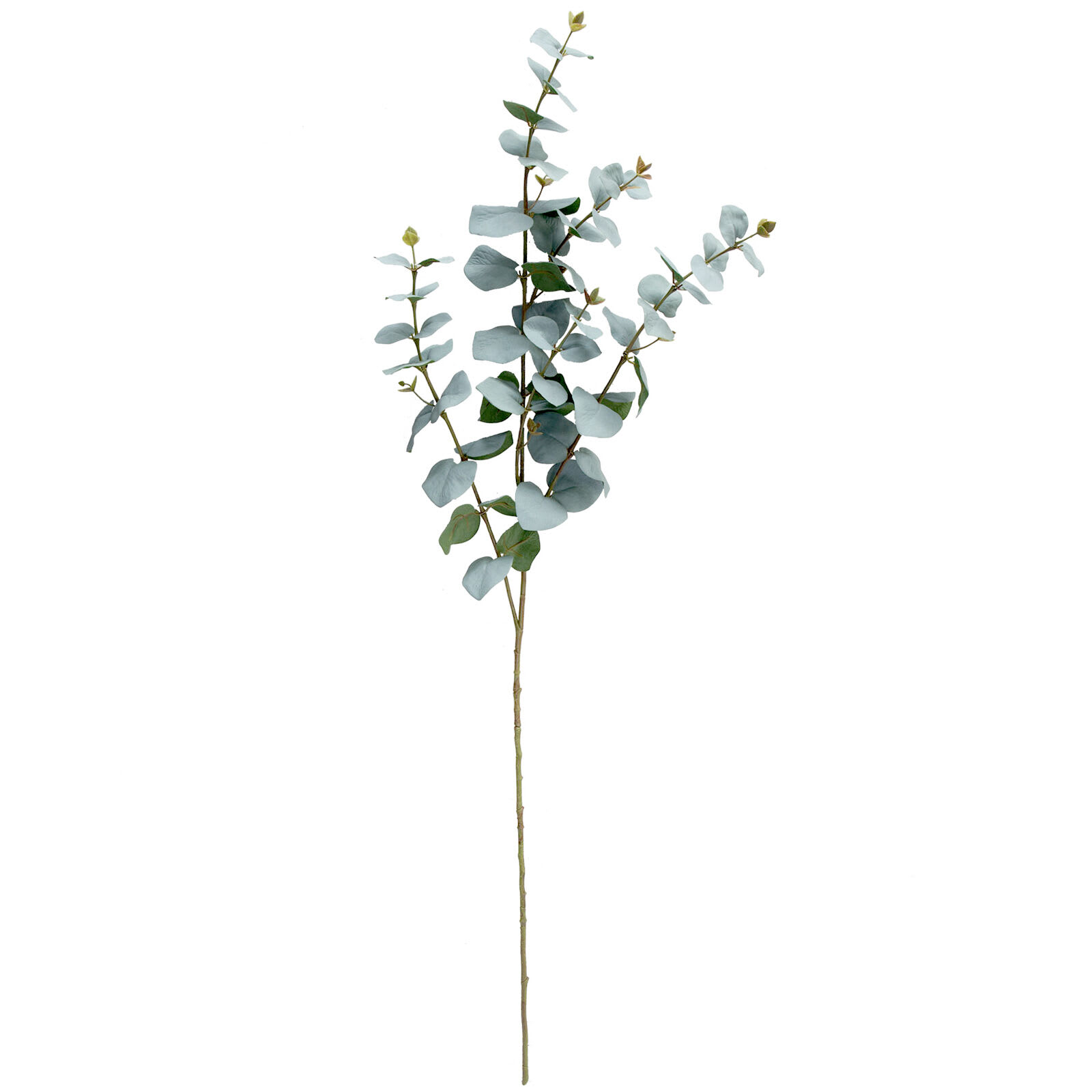 Eucalyptus Stem, 42"