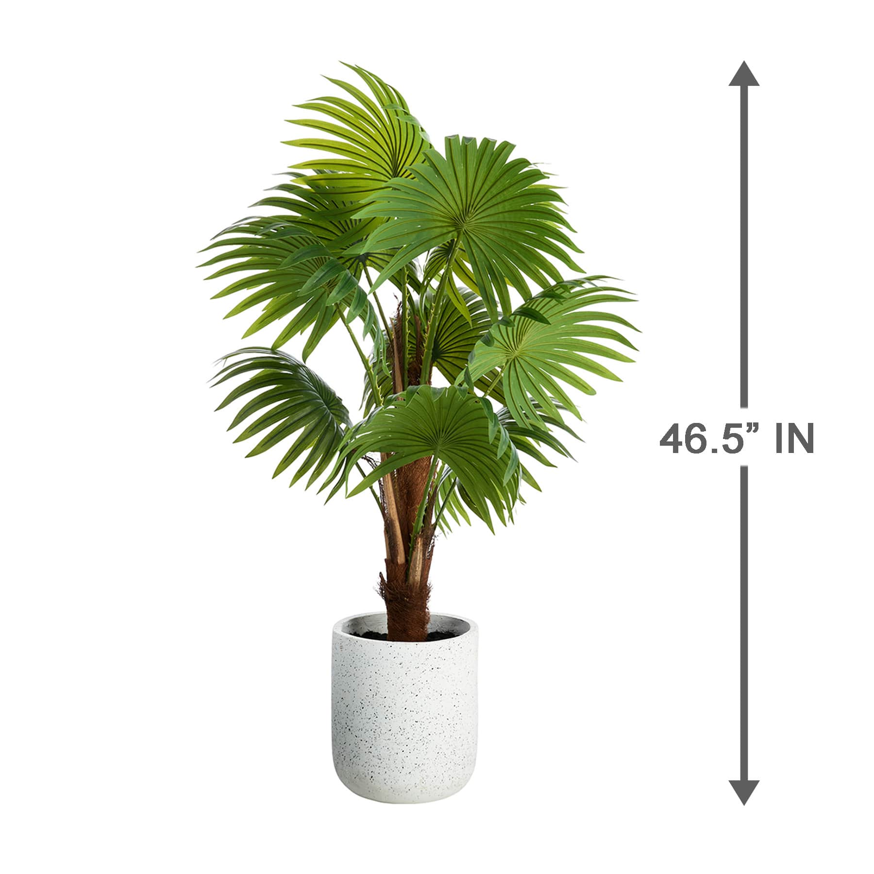 Palm Tree, 50"