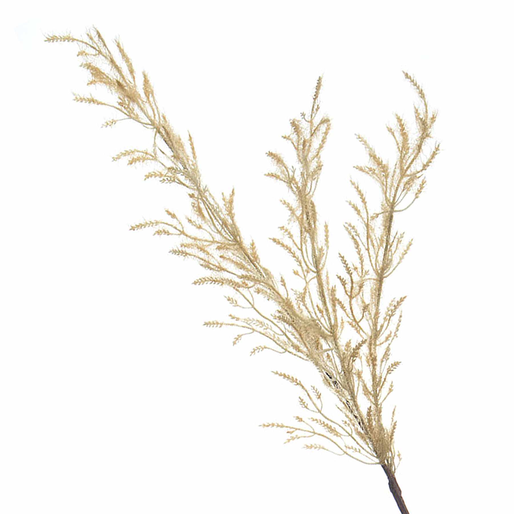 Crosby St. Tan Pampas Grass Spray, 42"