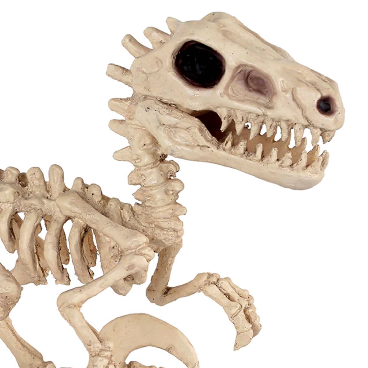 Small Halloween T-Rex Skeleton, 5"