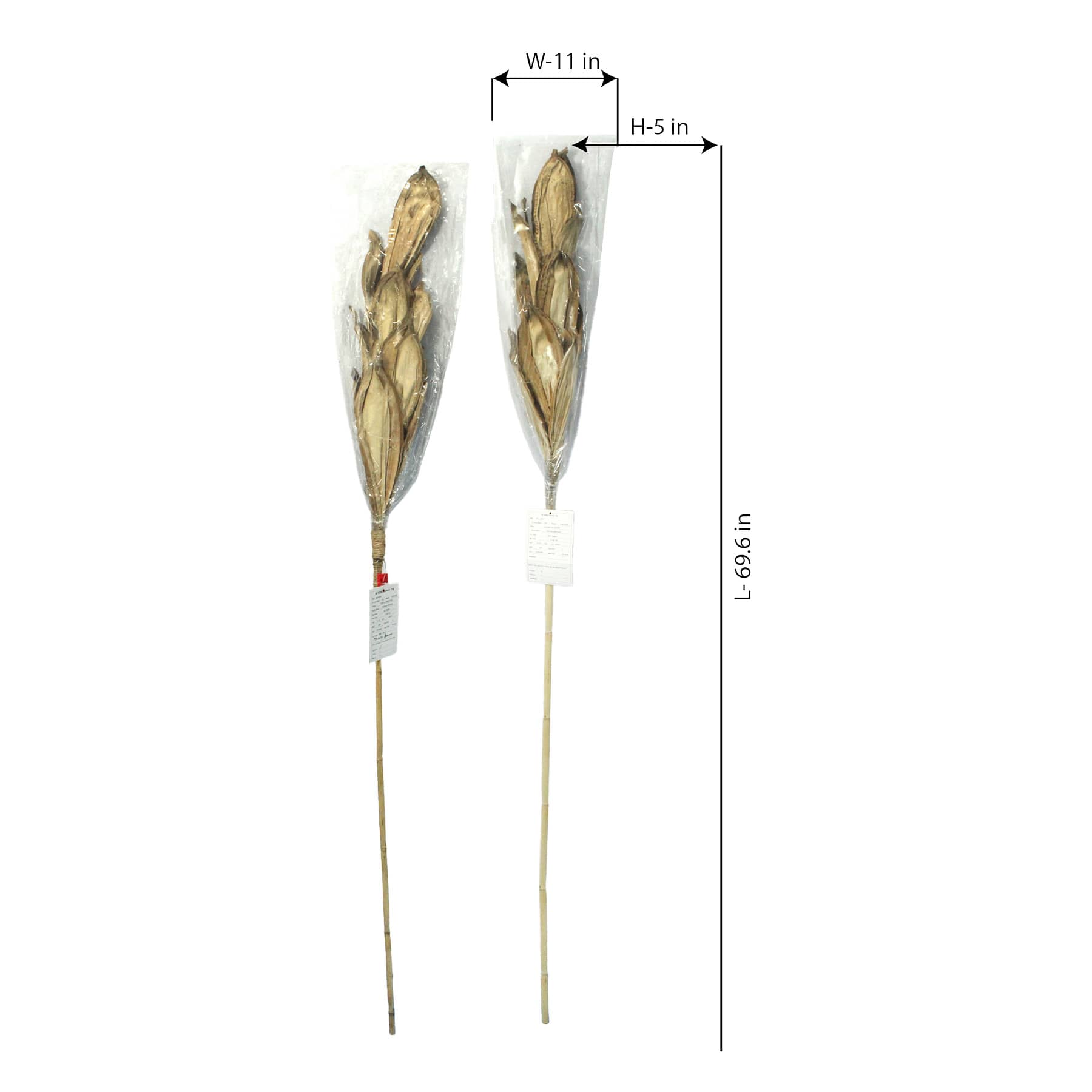 Natural Cob Stem, 80"