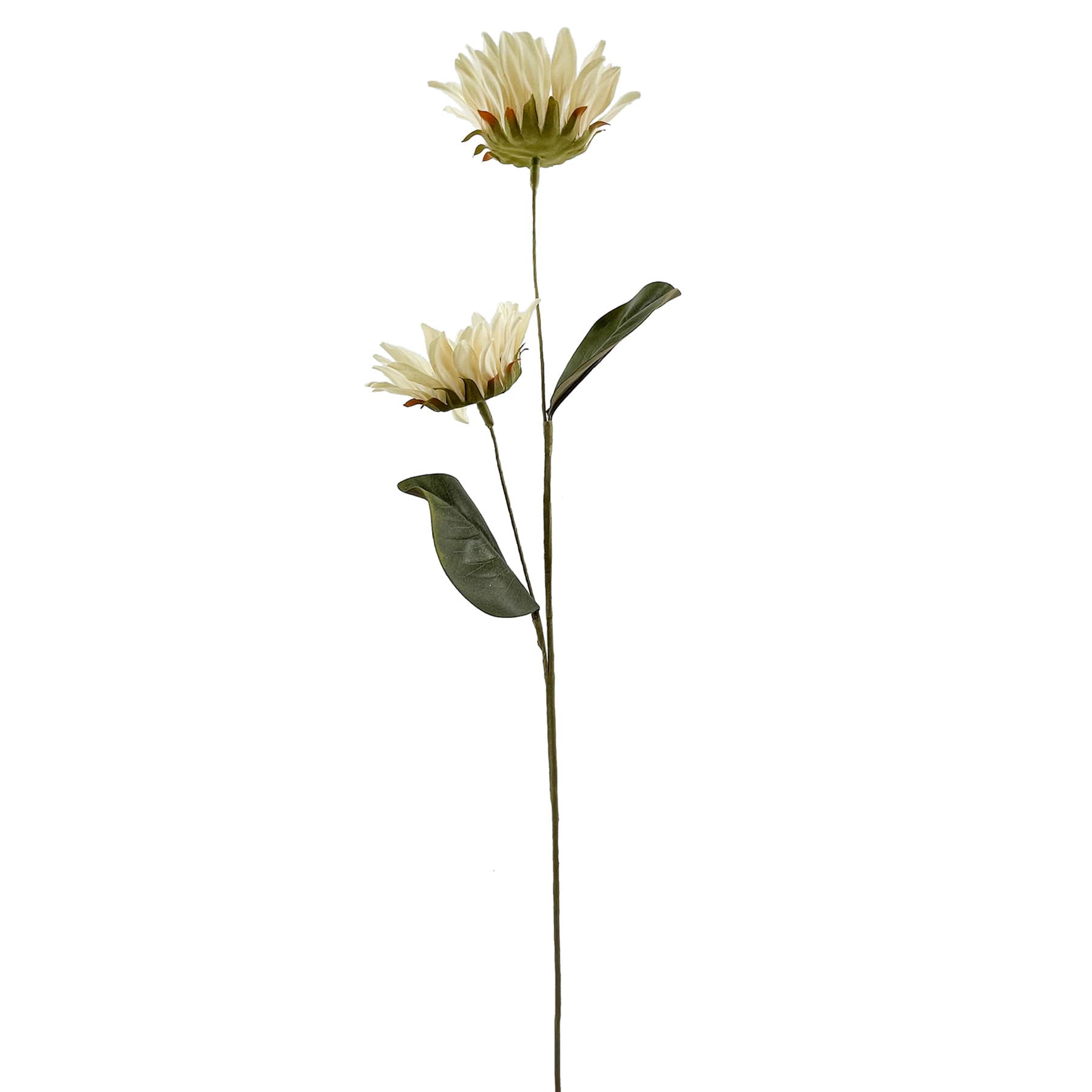 Cream Sunflower Stem, 28"