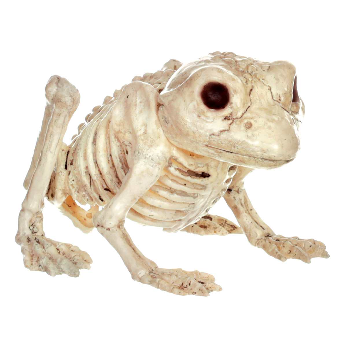 Small Halloween Frog Skeleton, 5"