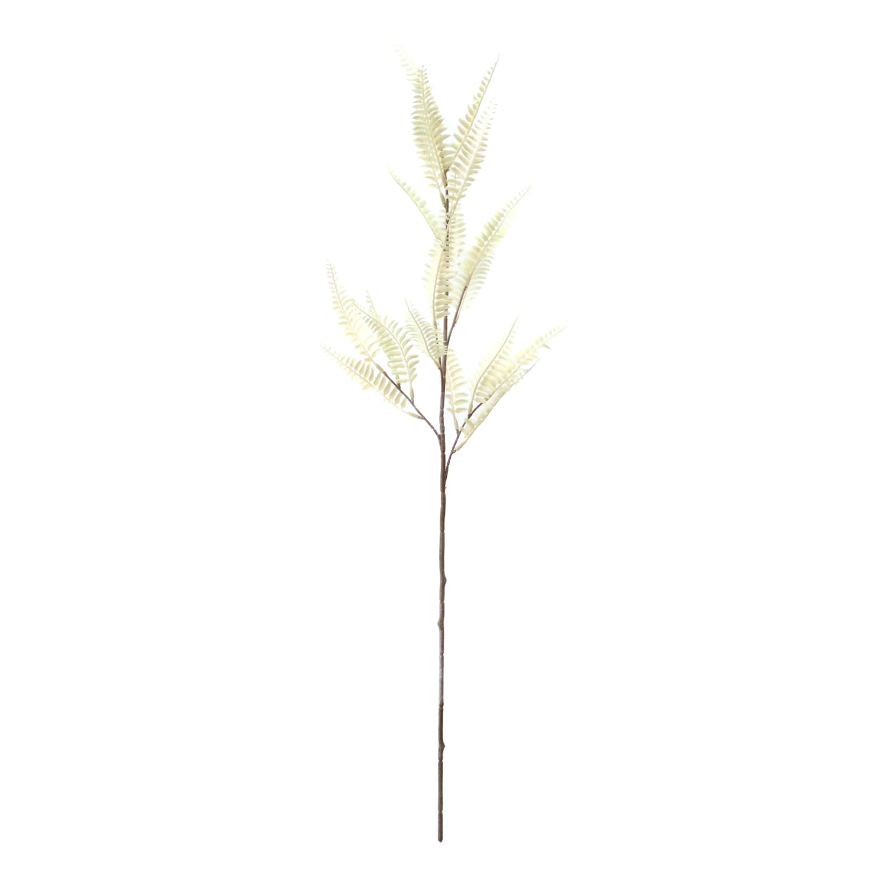 Natural Mini Fern Spray, 31"
