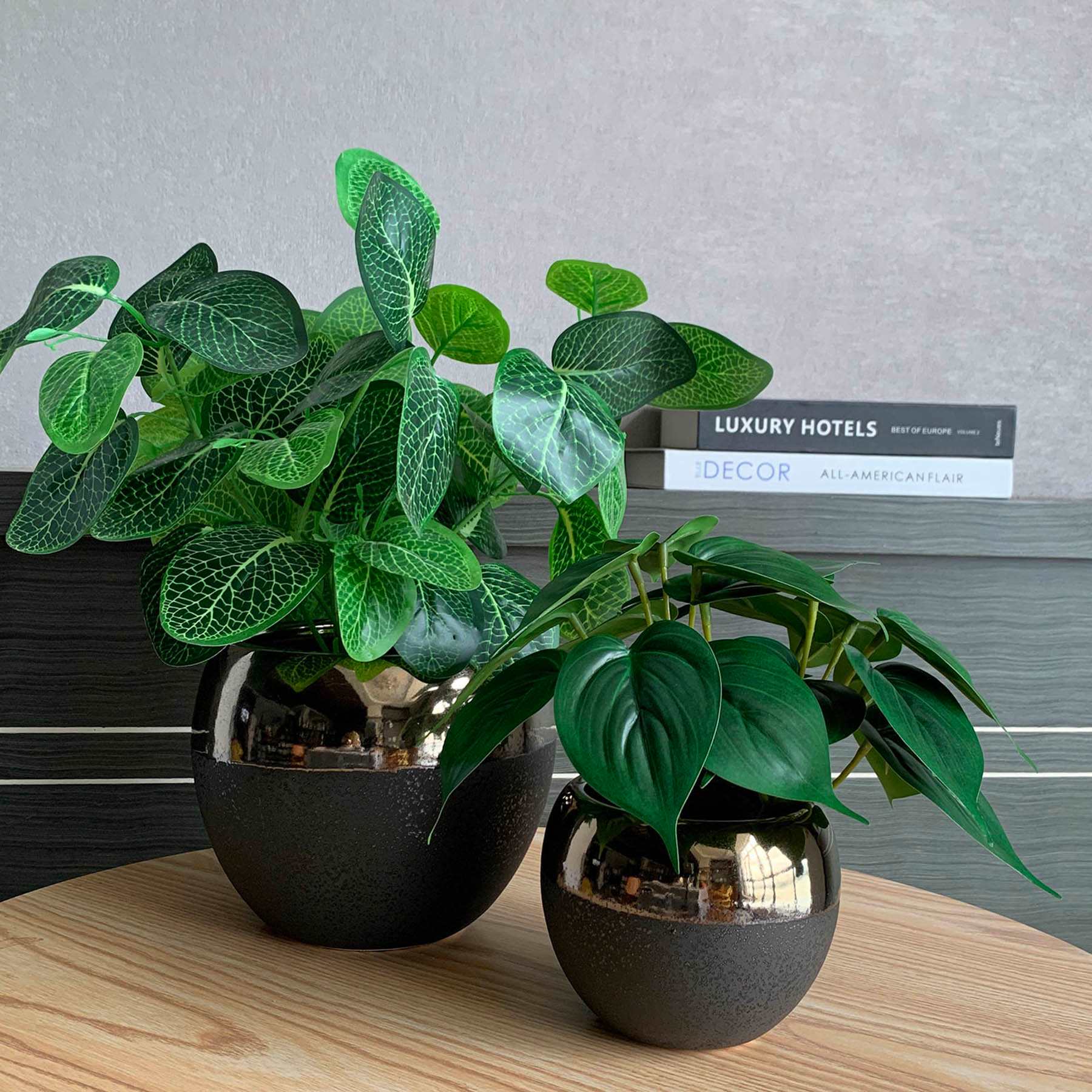 Indoor Beatrice Ash Bronze Planter, Medium