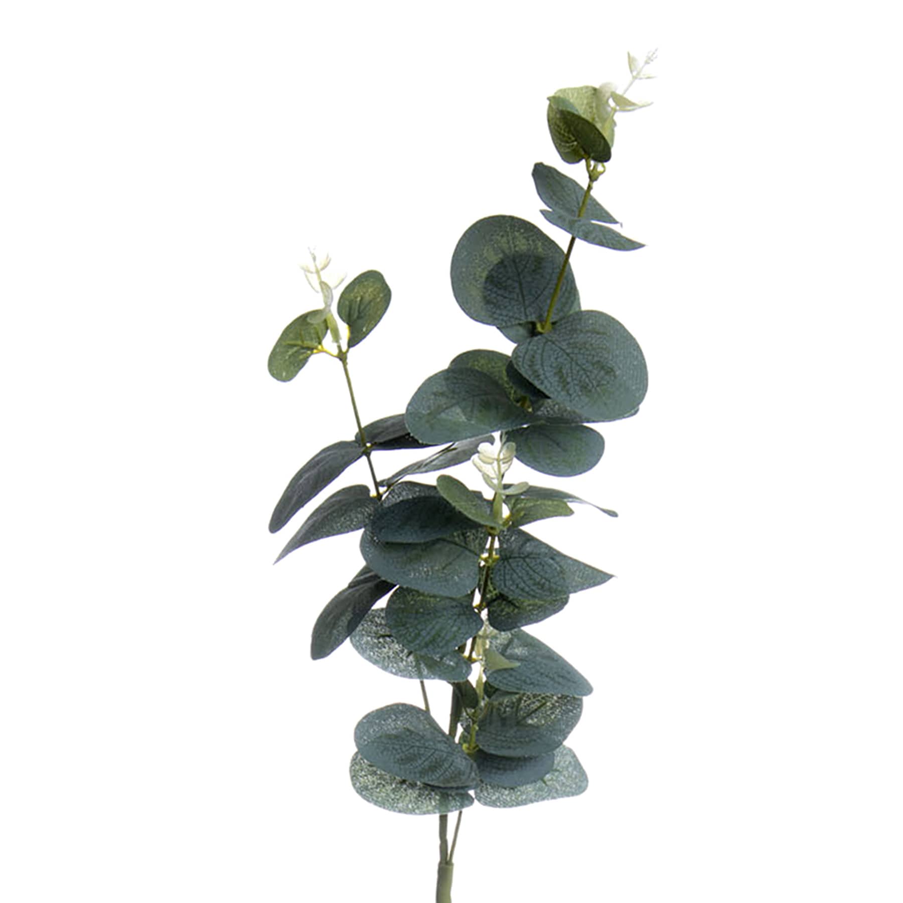 Green Eucalyptus Stem, 28"