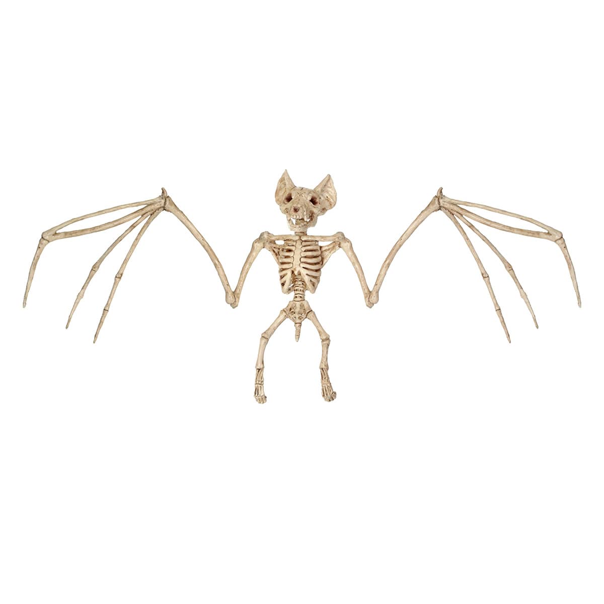 Small Halloween Bat Skeleton