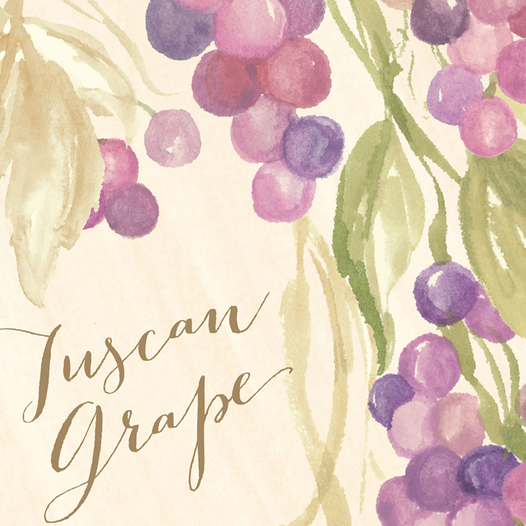 3-Pack Tuscan Grape Scented Sachet