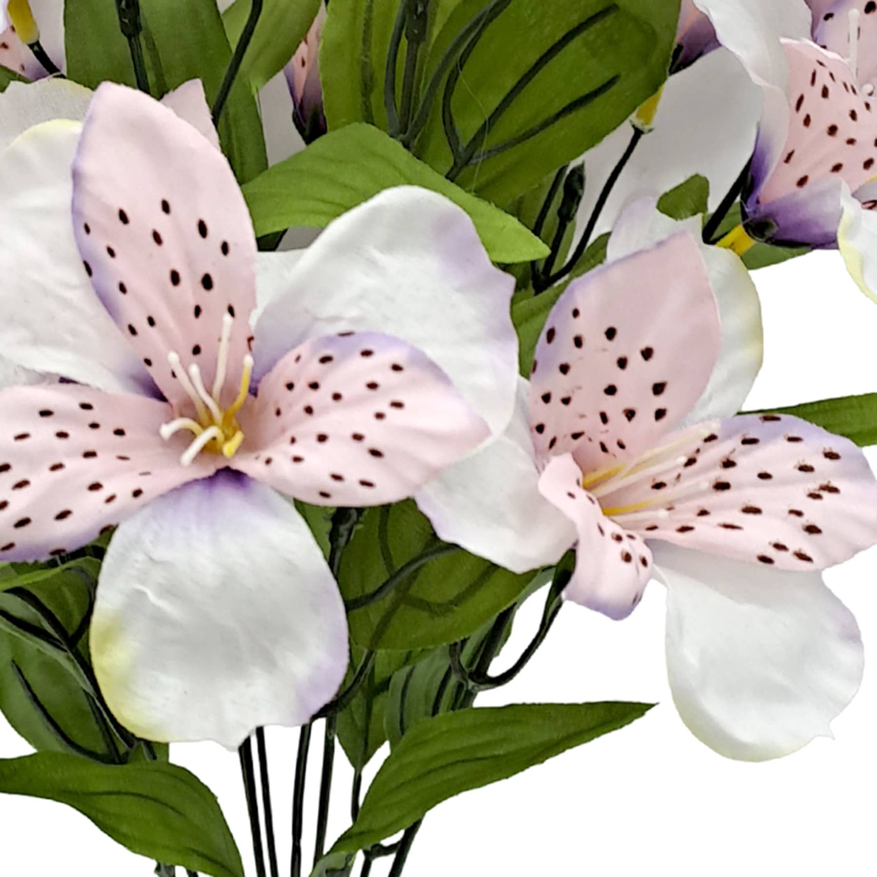 Cream & Purple Alstroemeria Bush, 18"