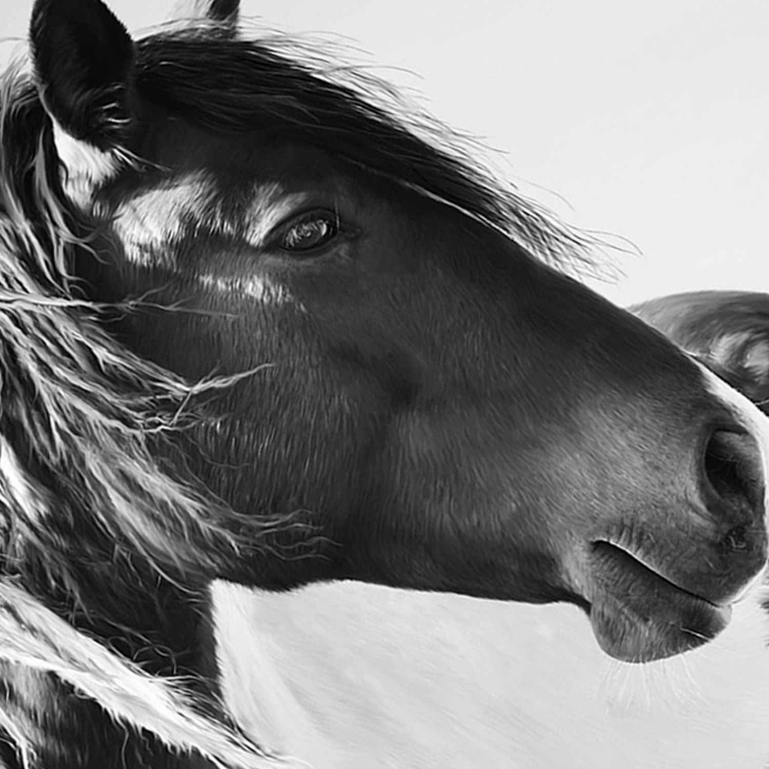 Horse Block, 8x10