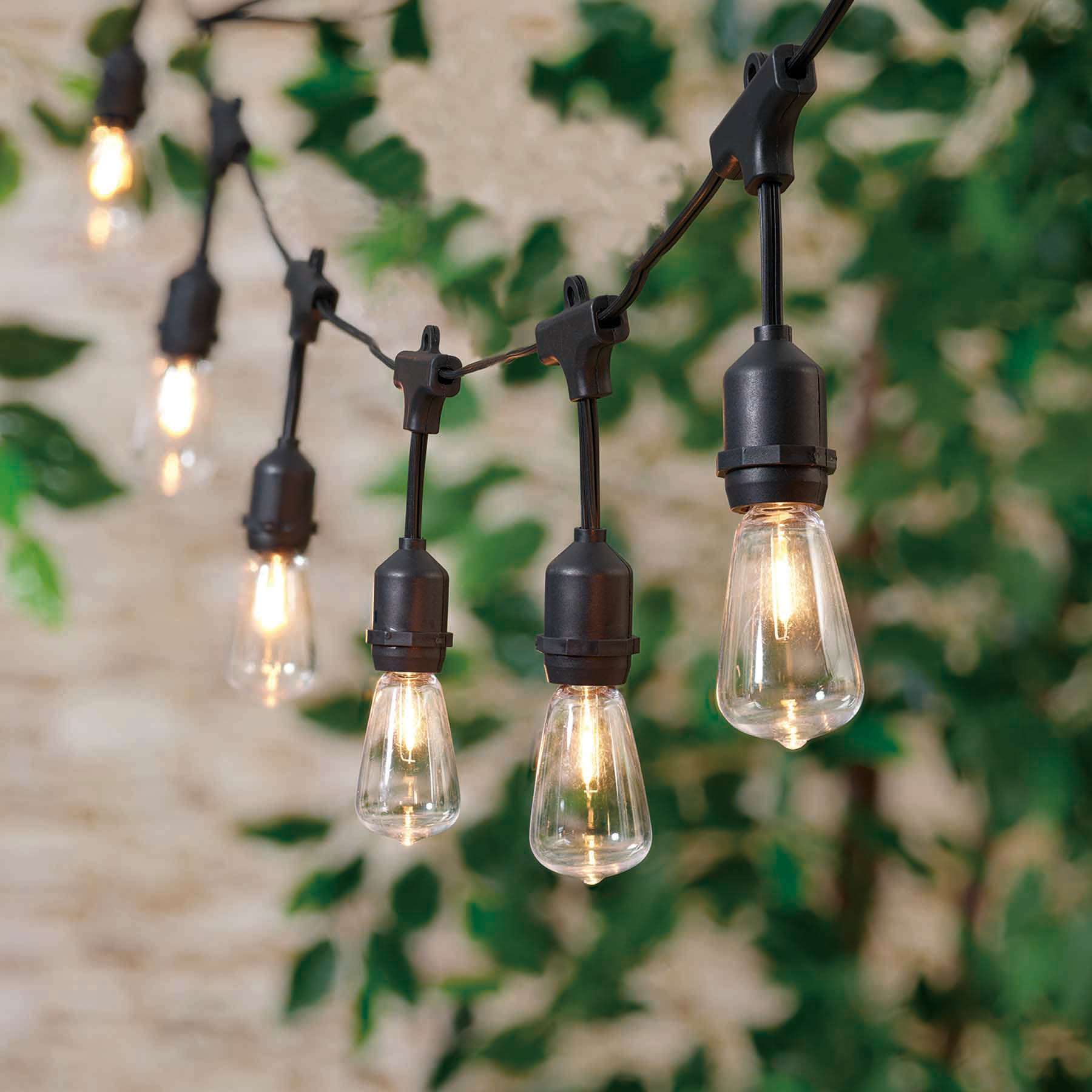 24-Count LED Filament Bulb Edison String Lights with Black Commercial Wire