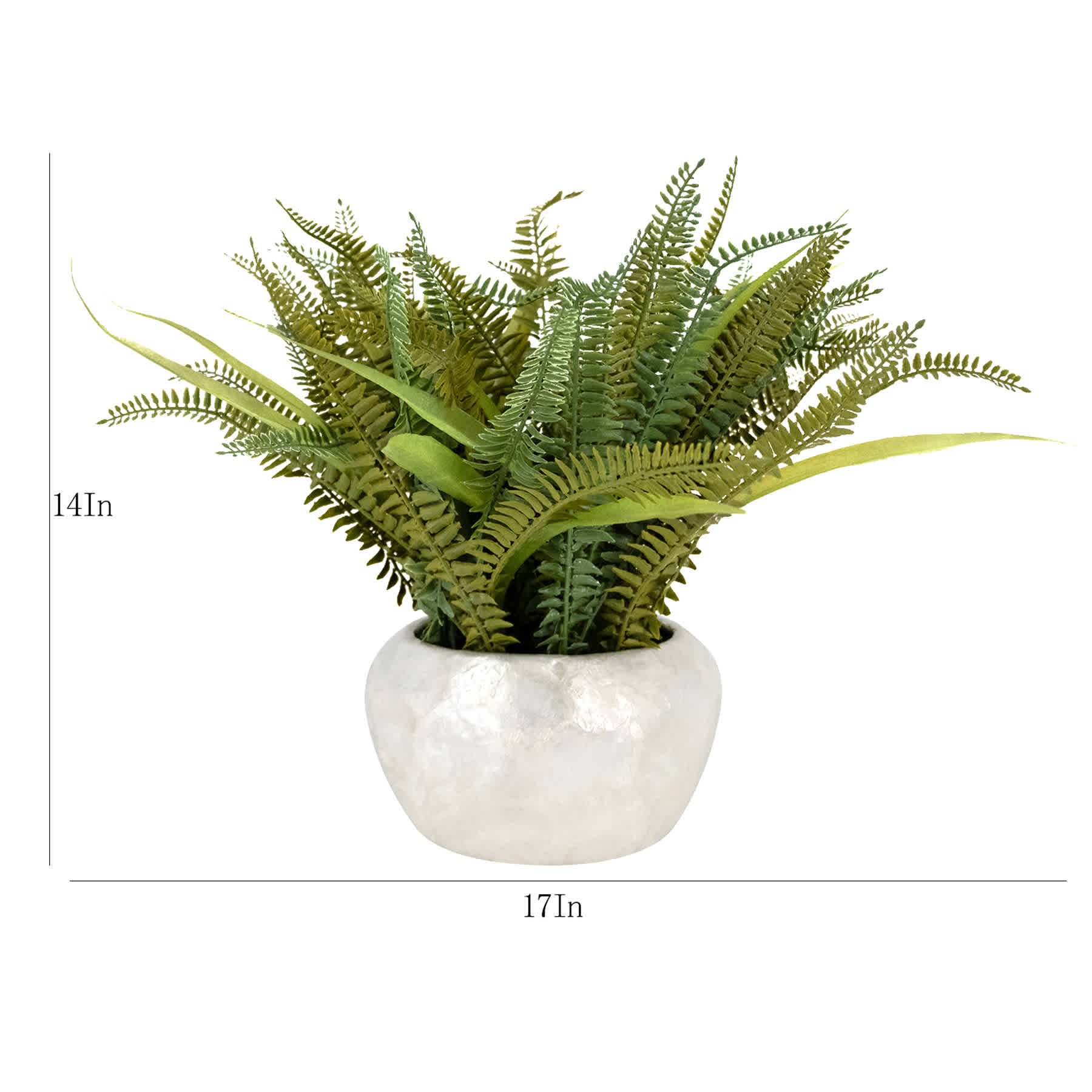 Fern in Pearlescent Pot, 14"