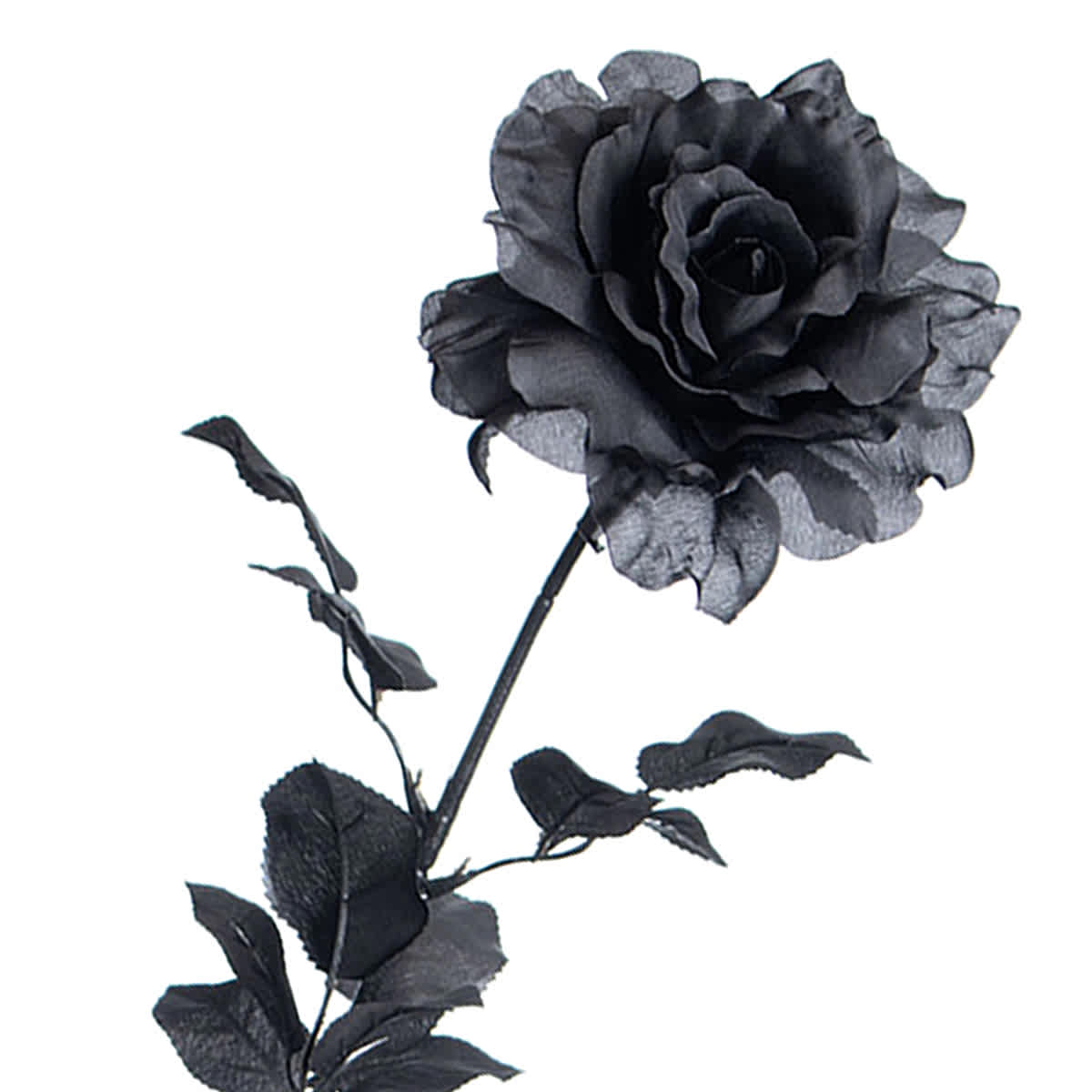 Spellbound Black Rose Floral Stem, 28"