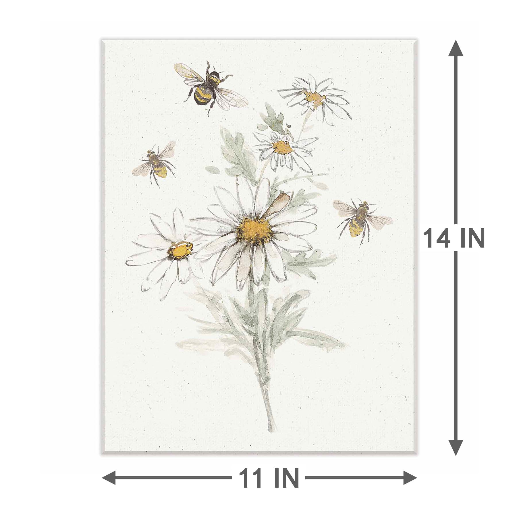 Daisies Canvas Wall Art, 11x14