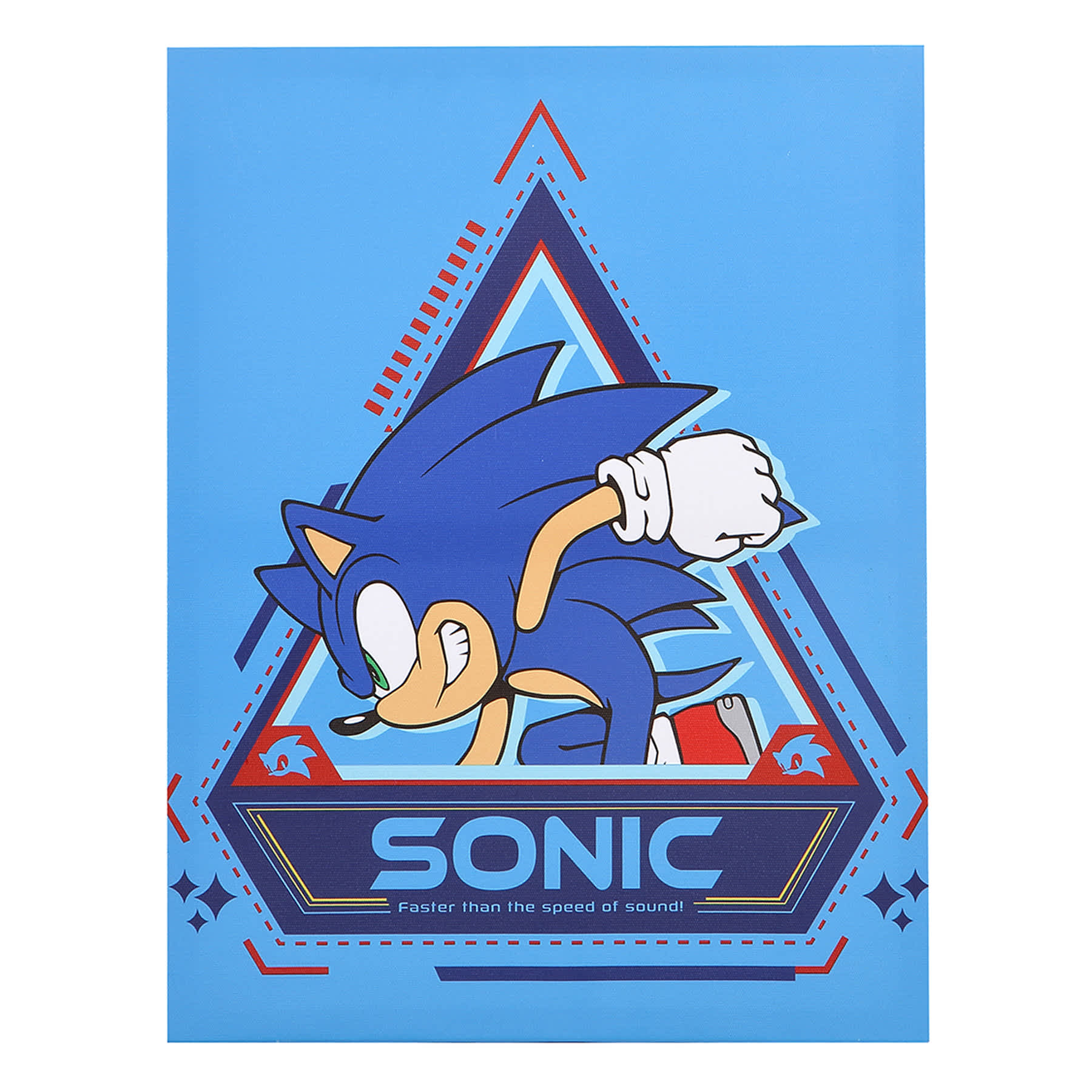 Sonic Canvas Wall Art, 11x14