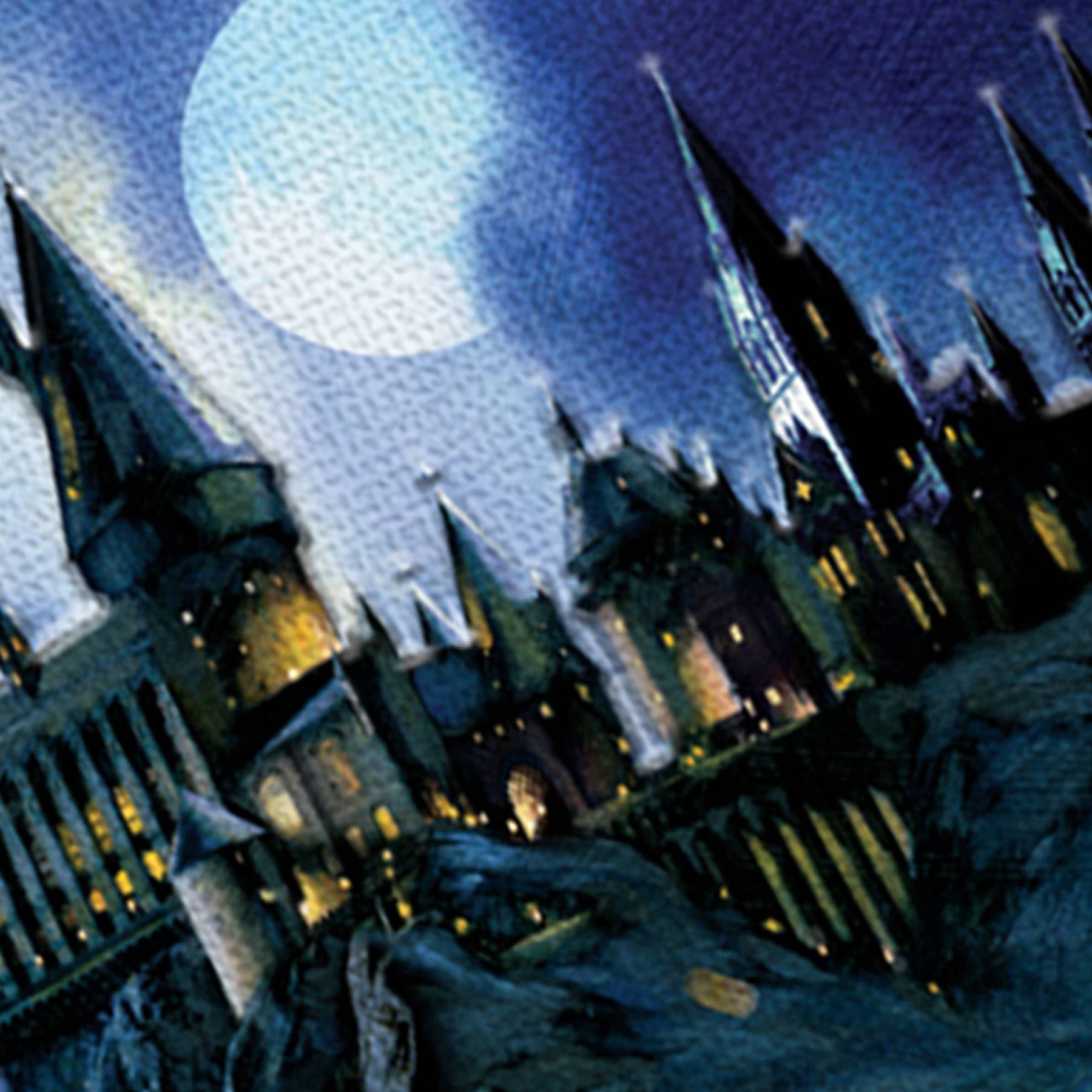 Harry Potter Hogwarts Castle Canvas Wall Art, 16x24